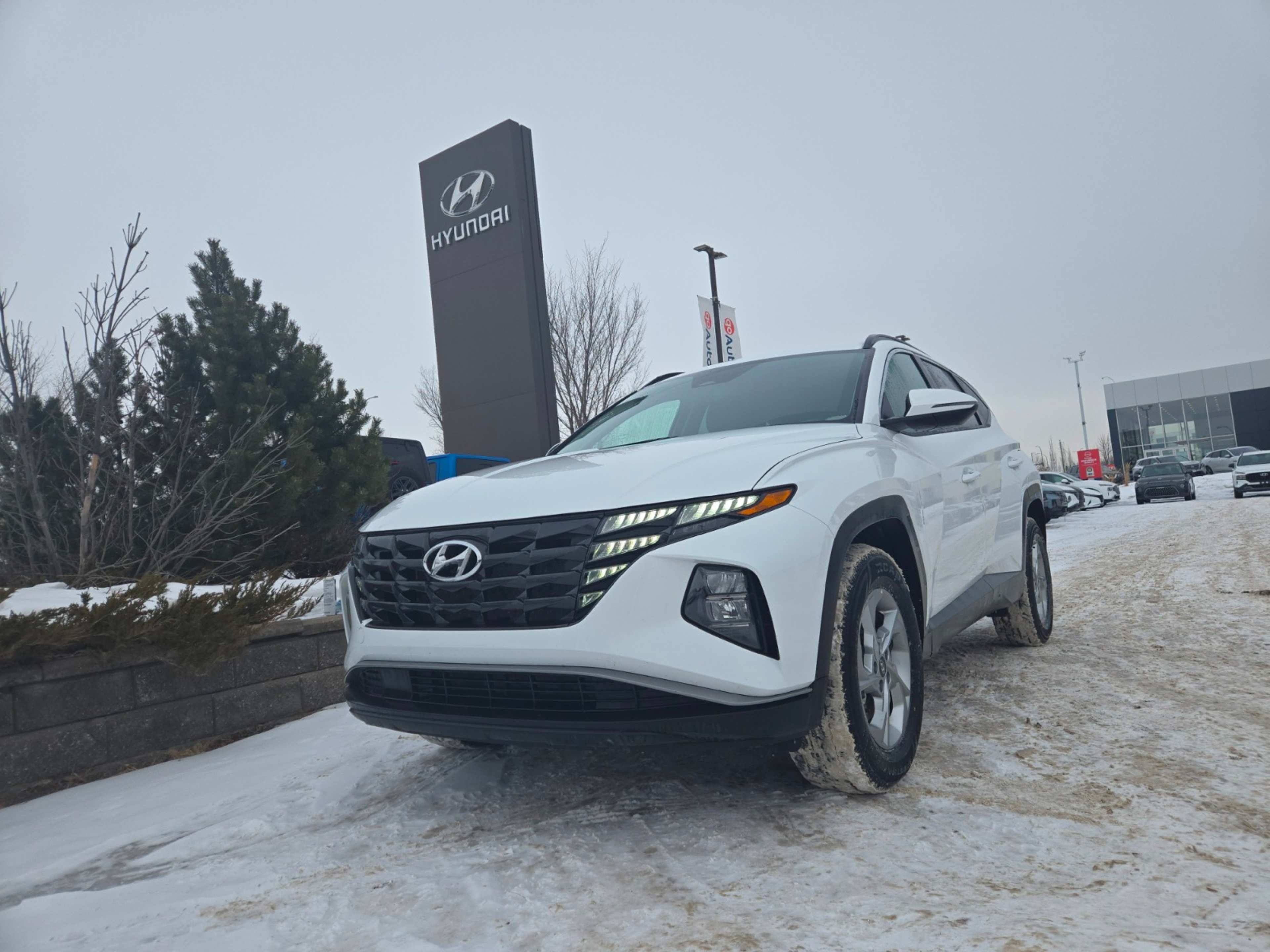 Voxcar HYUNDAI Tucson SUV in , VICTORIA