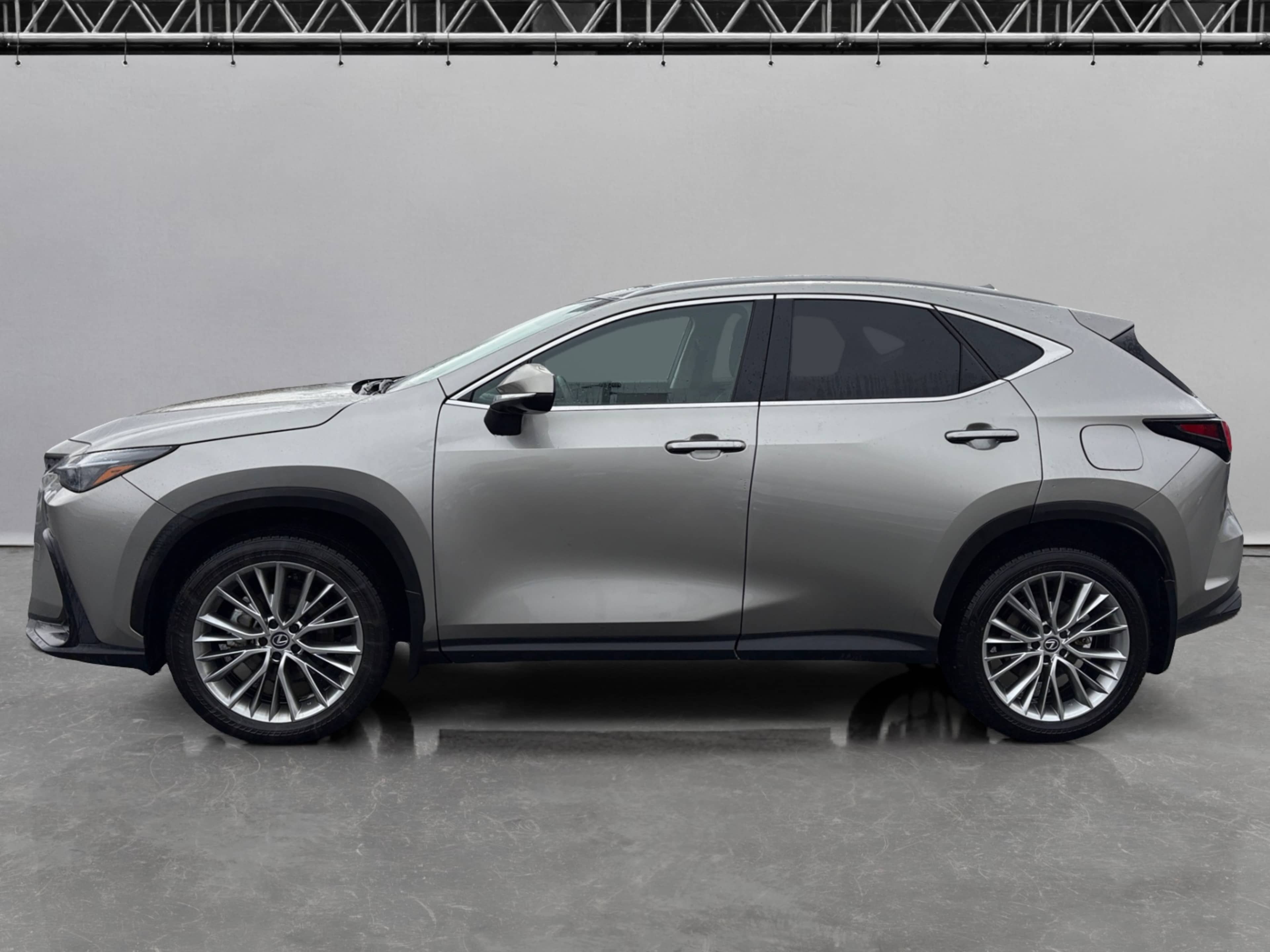 2025 Lexus NX 350h AWD photo 2