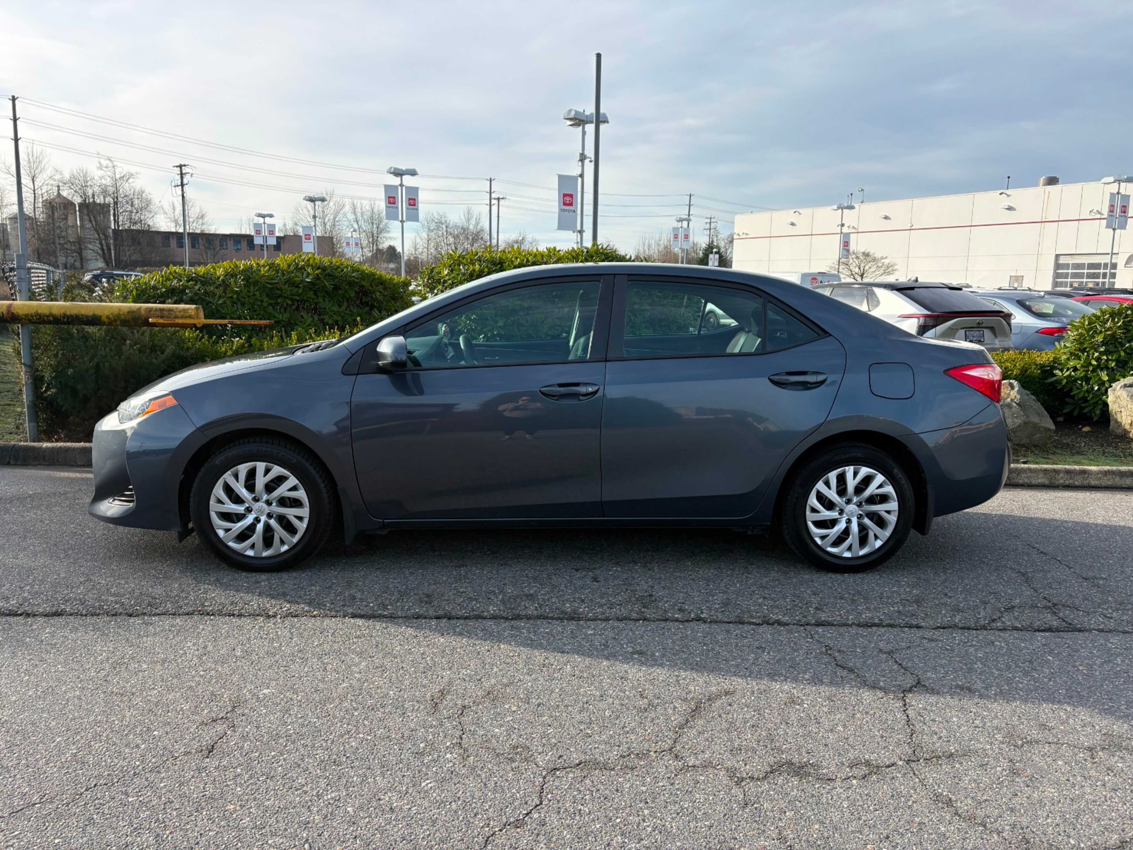 2019 Toyota Corolla XLE XSE photo 3