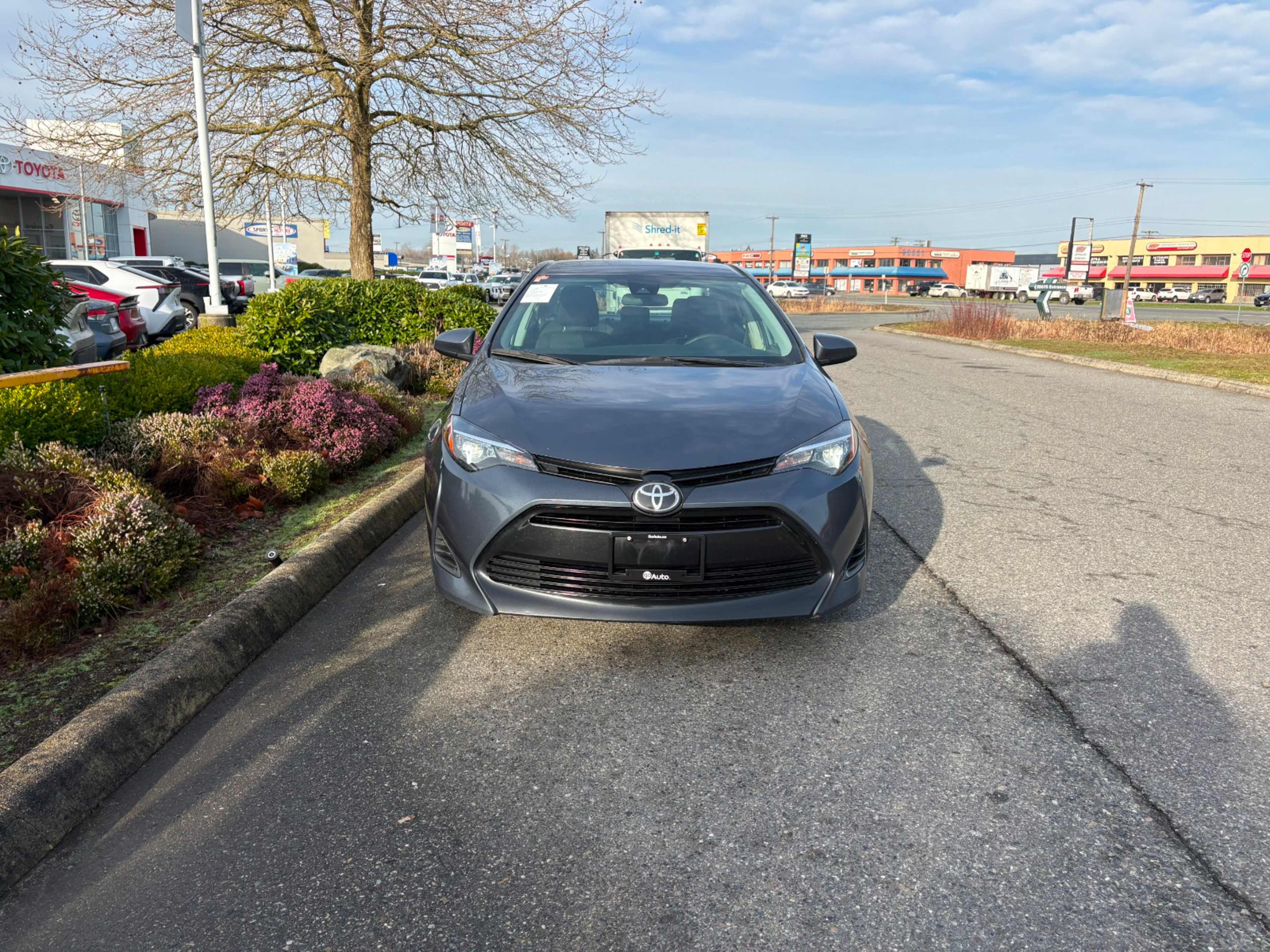 2019 Toyota Corolla XLE XSE photo 2