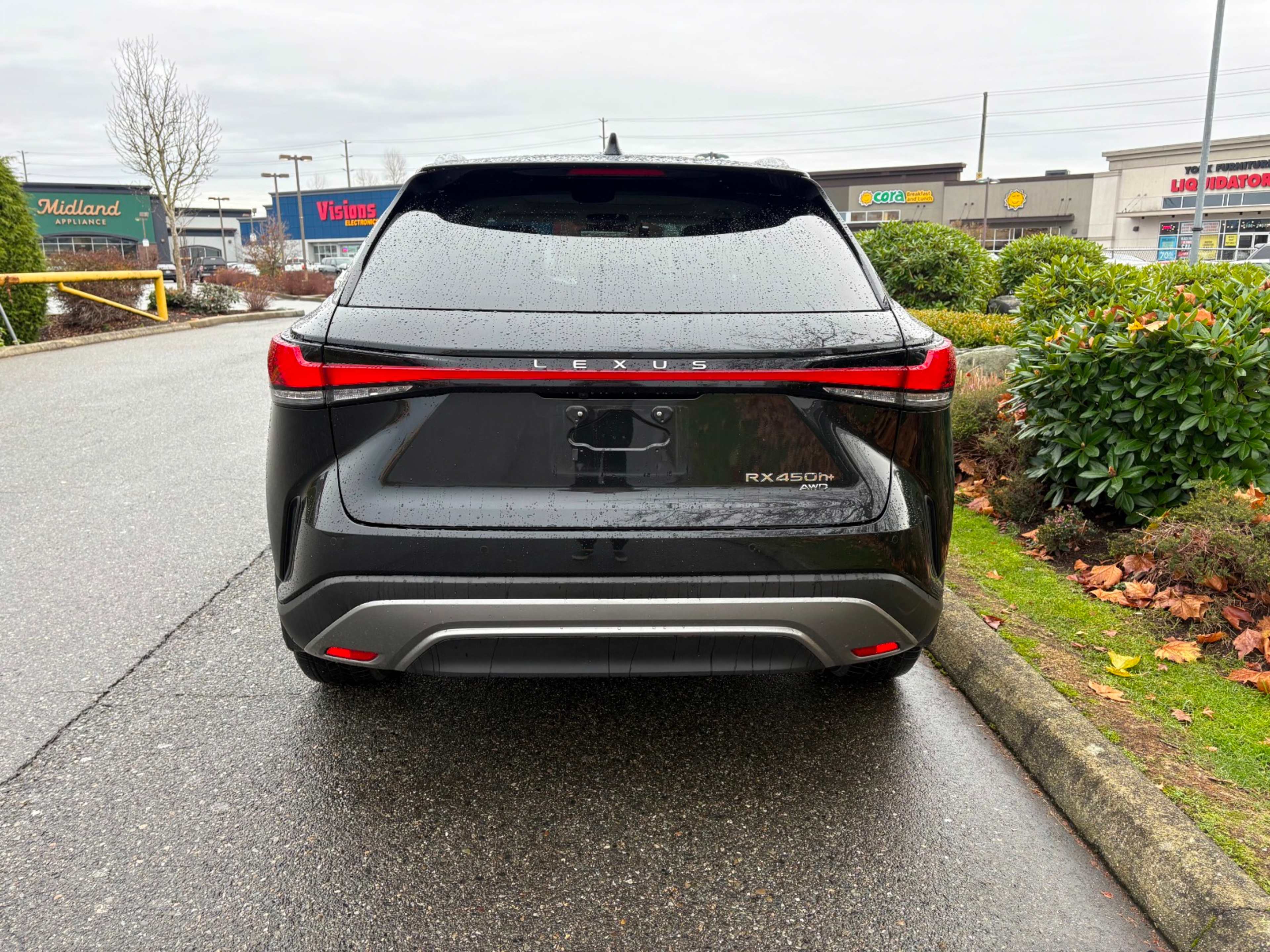 2025 Lexus RX 450h AWD photo 3