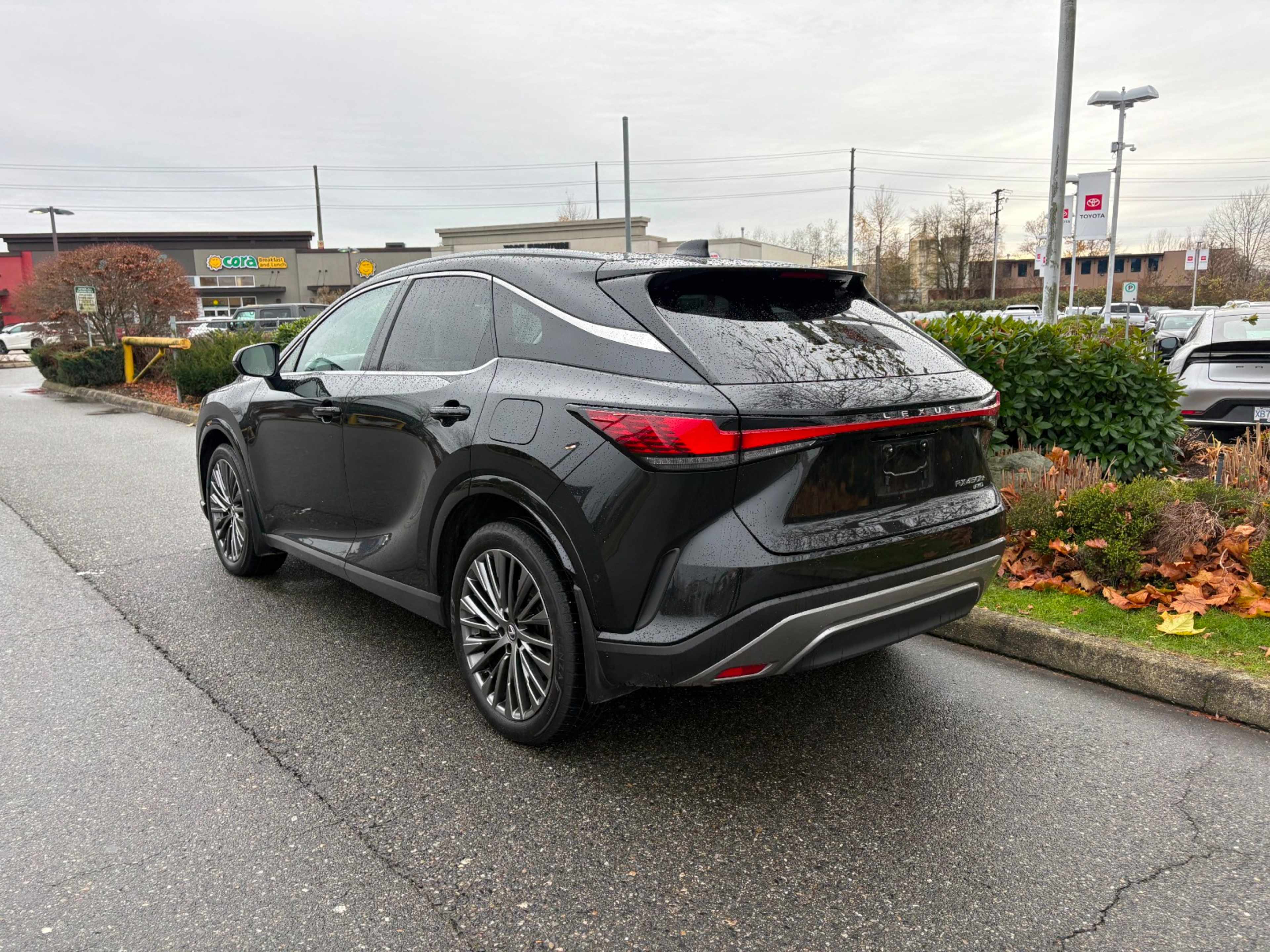 2025 Lexus RX 450h AWD photo 2