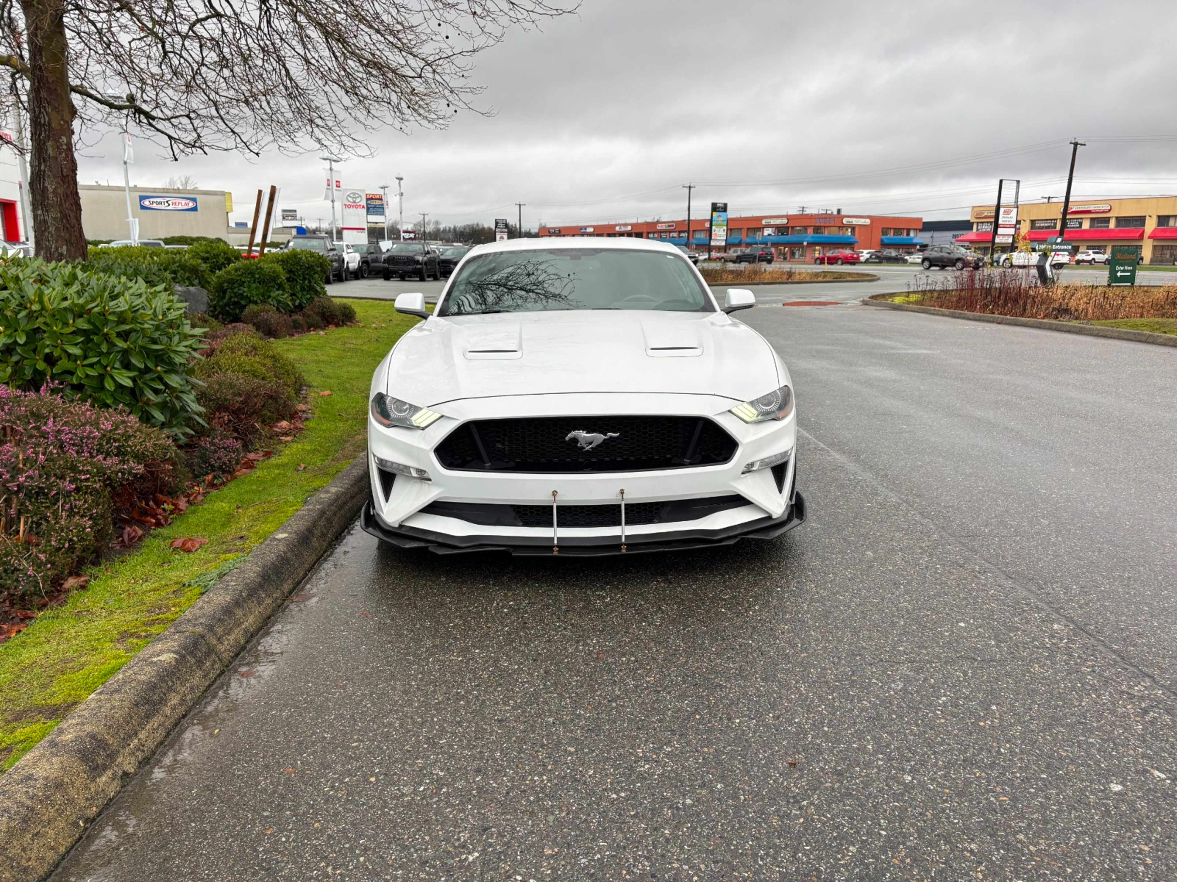 2019 Ford Mustang GT photo 2