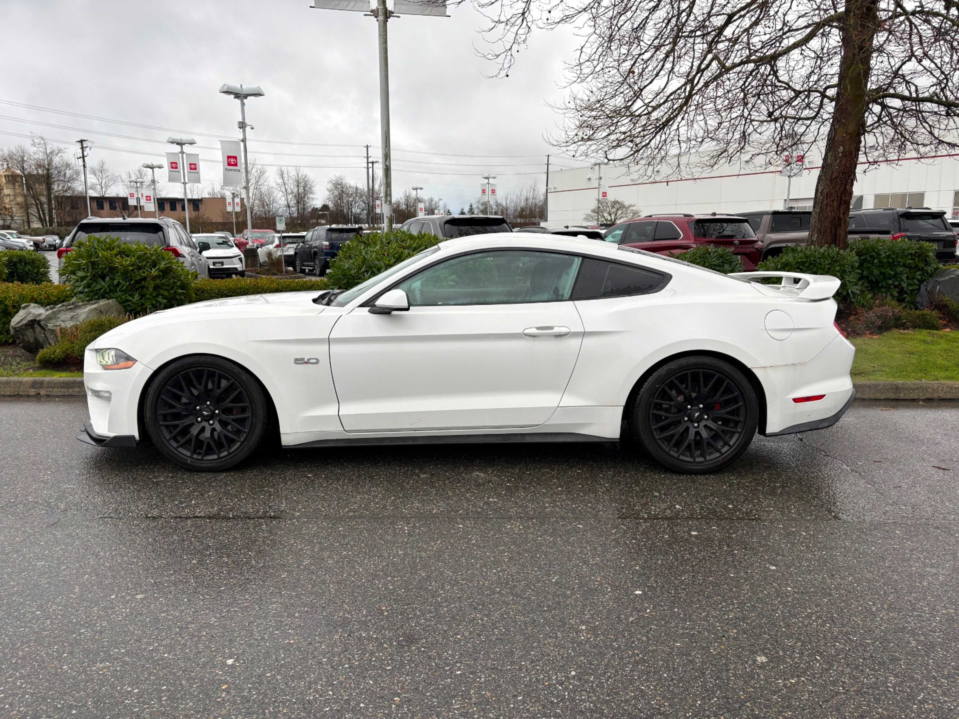 2019 Ford Mustang GT photo 3