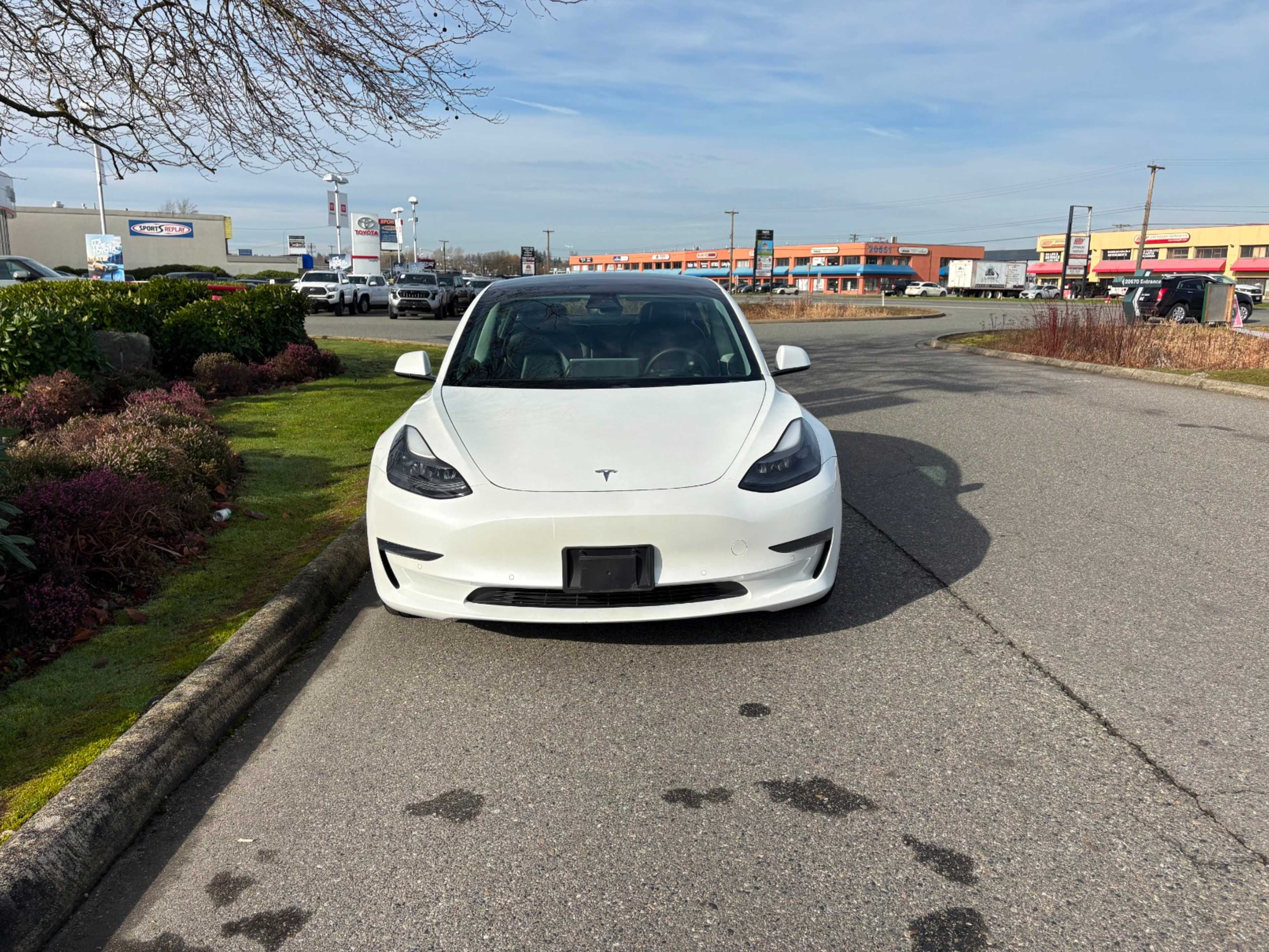 2021 Tesla Model 3 Standard Range Plus photo 2