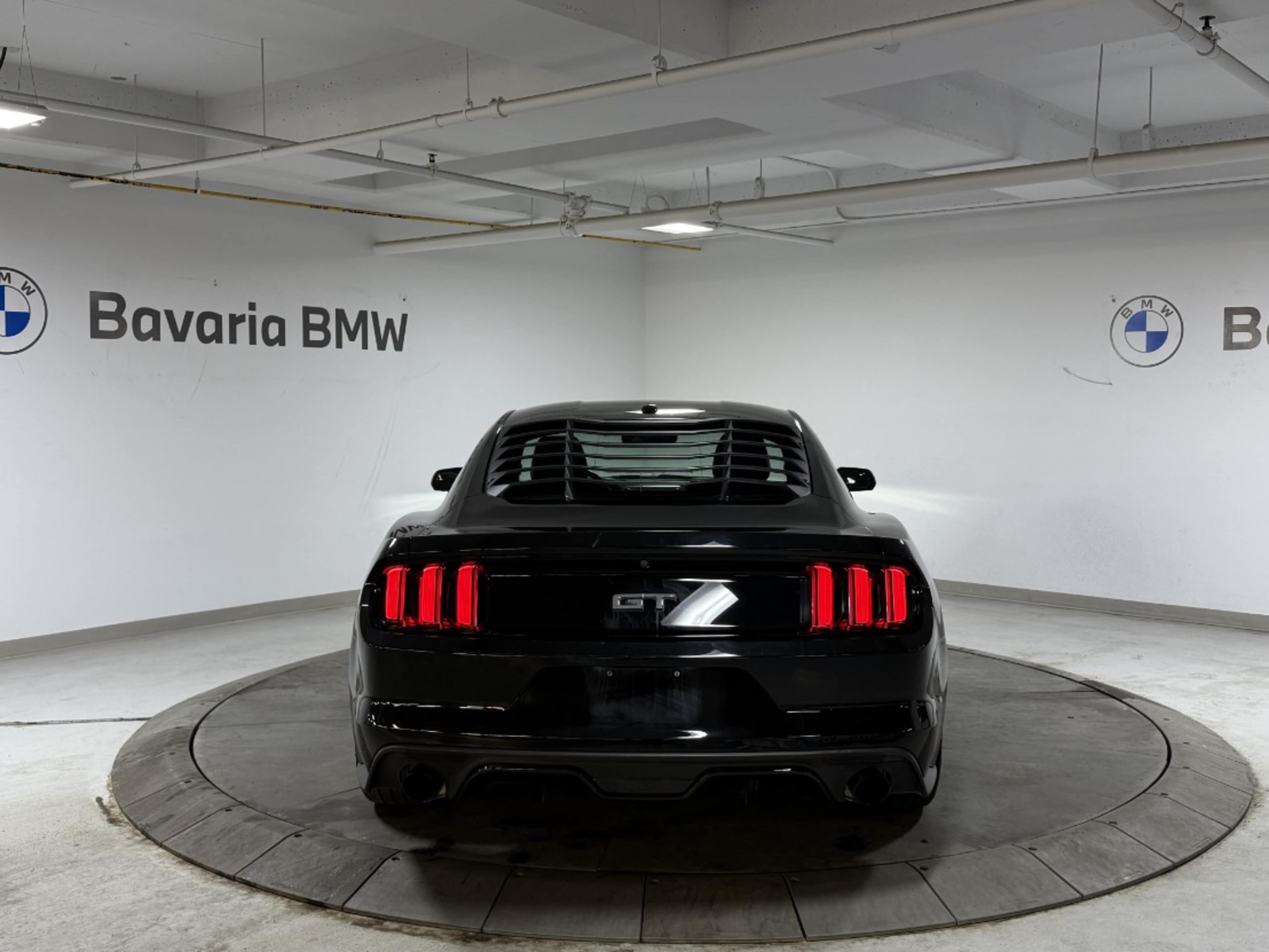 2015 Ford Mustang GT Premium photo 2