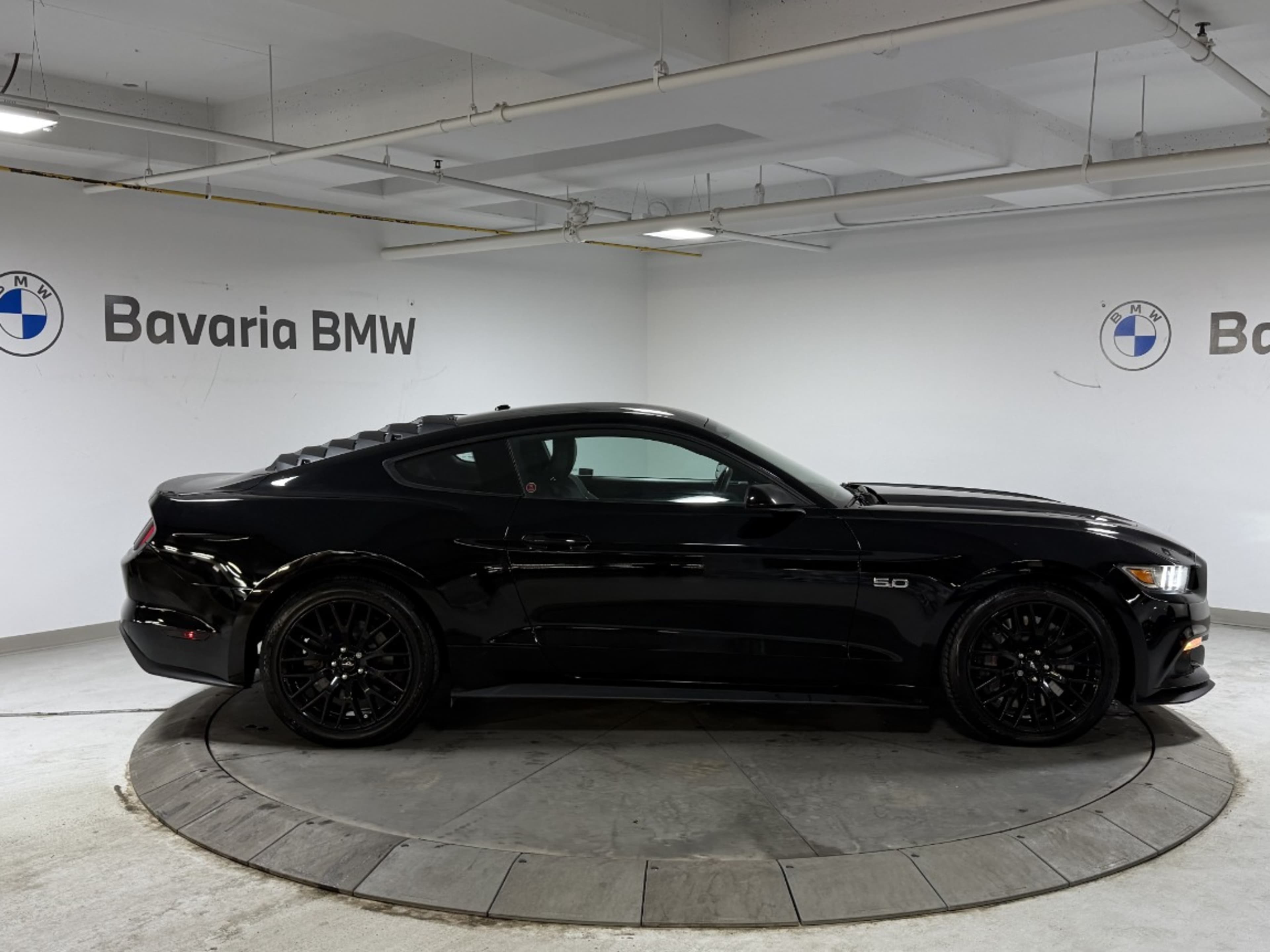 2015 Ford Mustang GT Premium photo 4