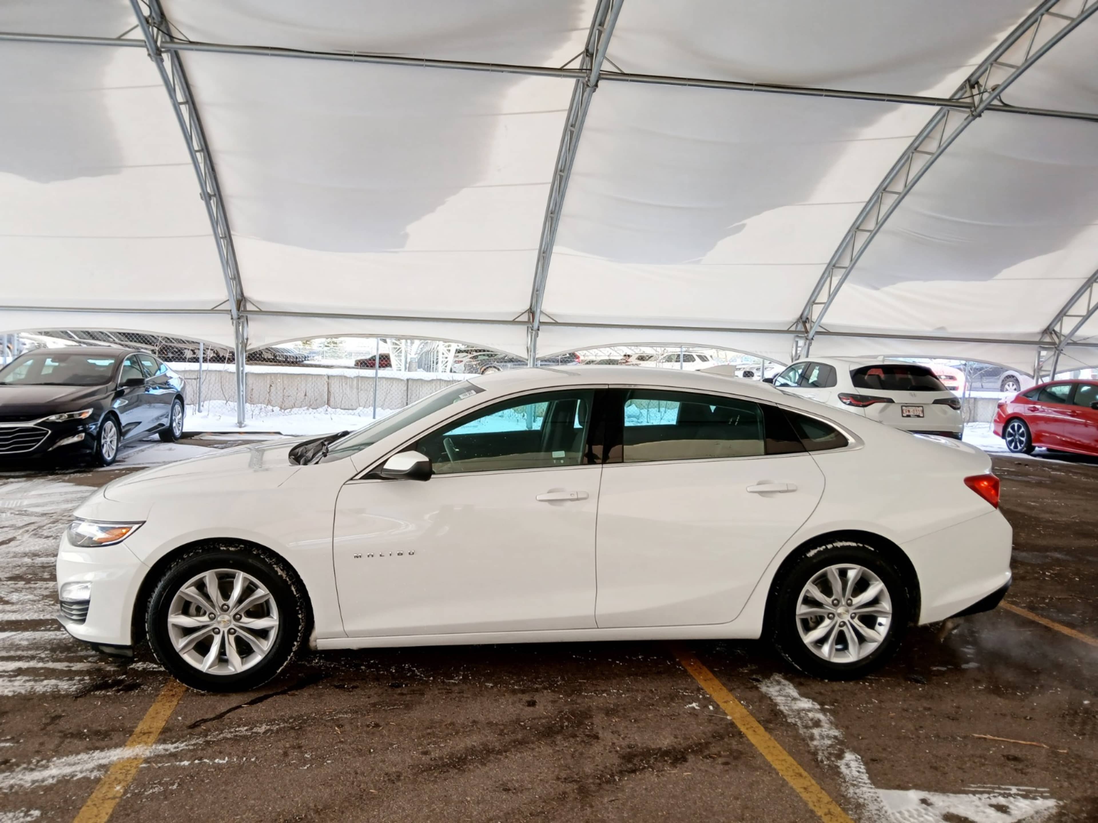 2023 Chevrolet Malibu 1LT photo 3