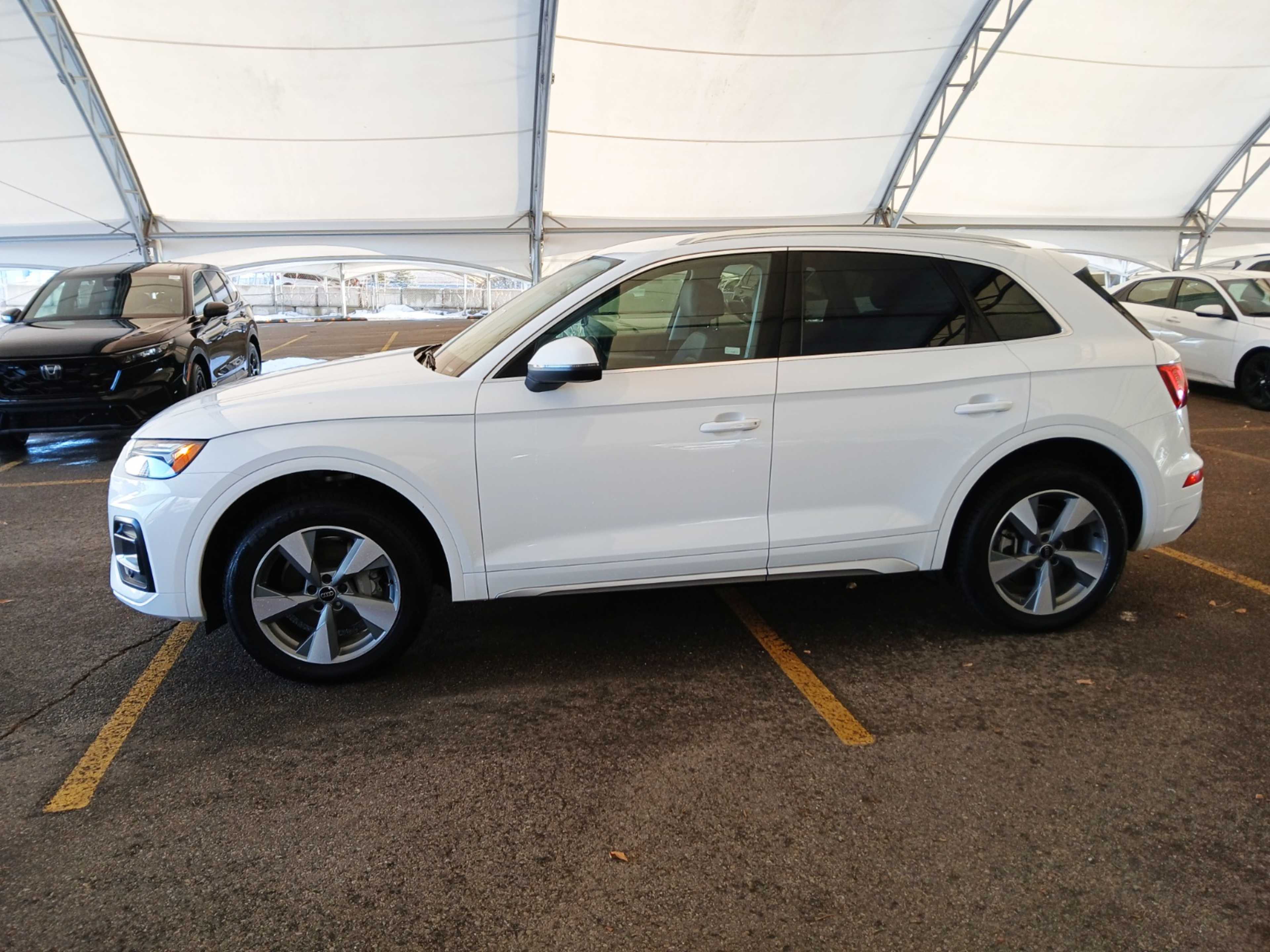 2024 Audi Q5 45 TFSI Premium photo 3