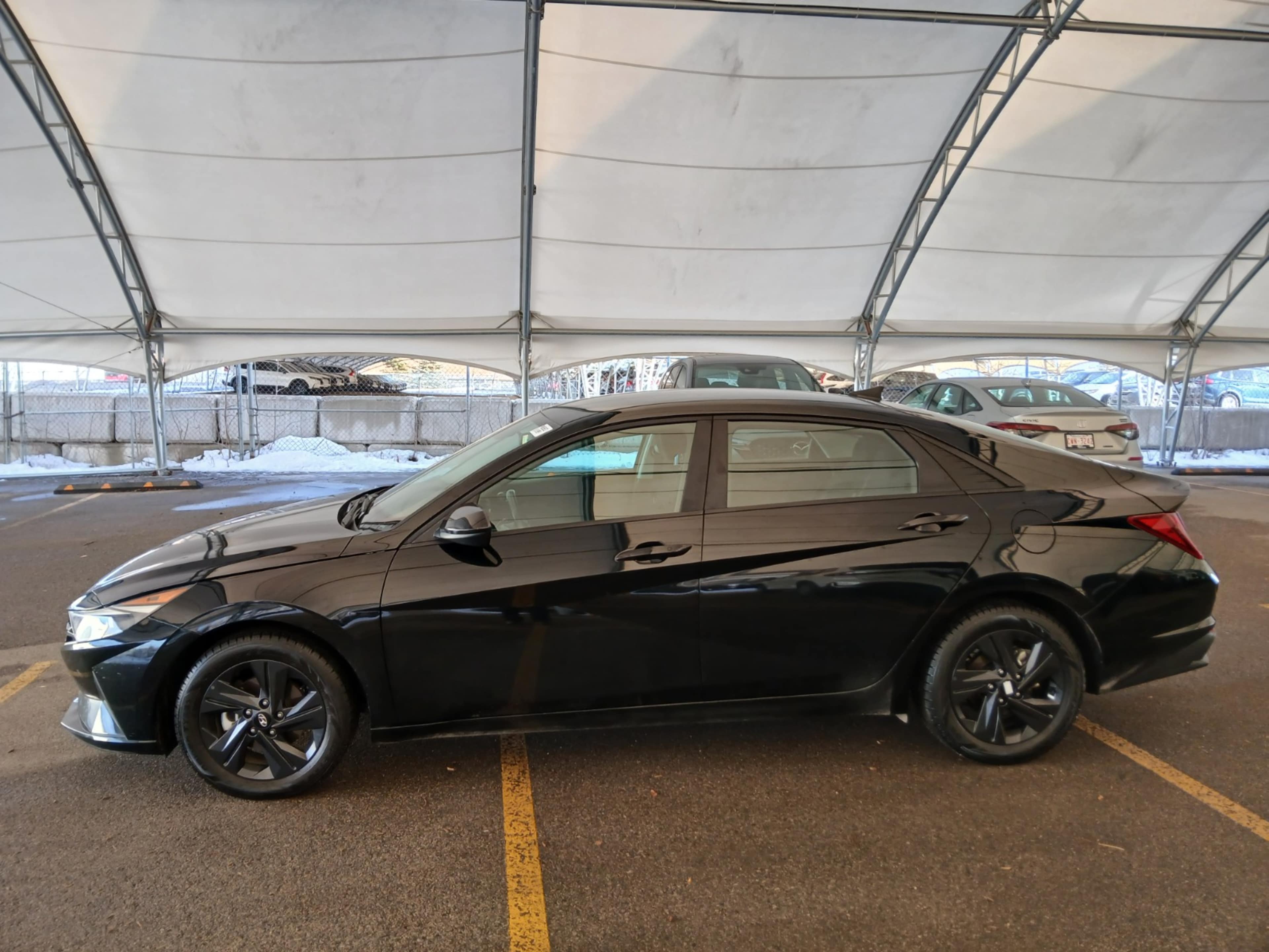 2023 Hyundai Elantra SEL photo 3