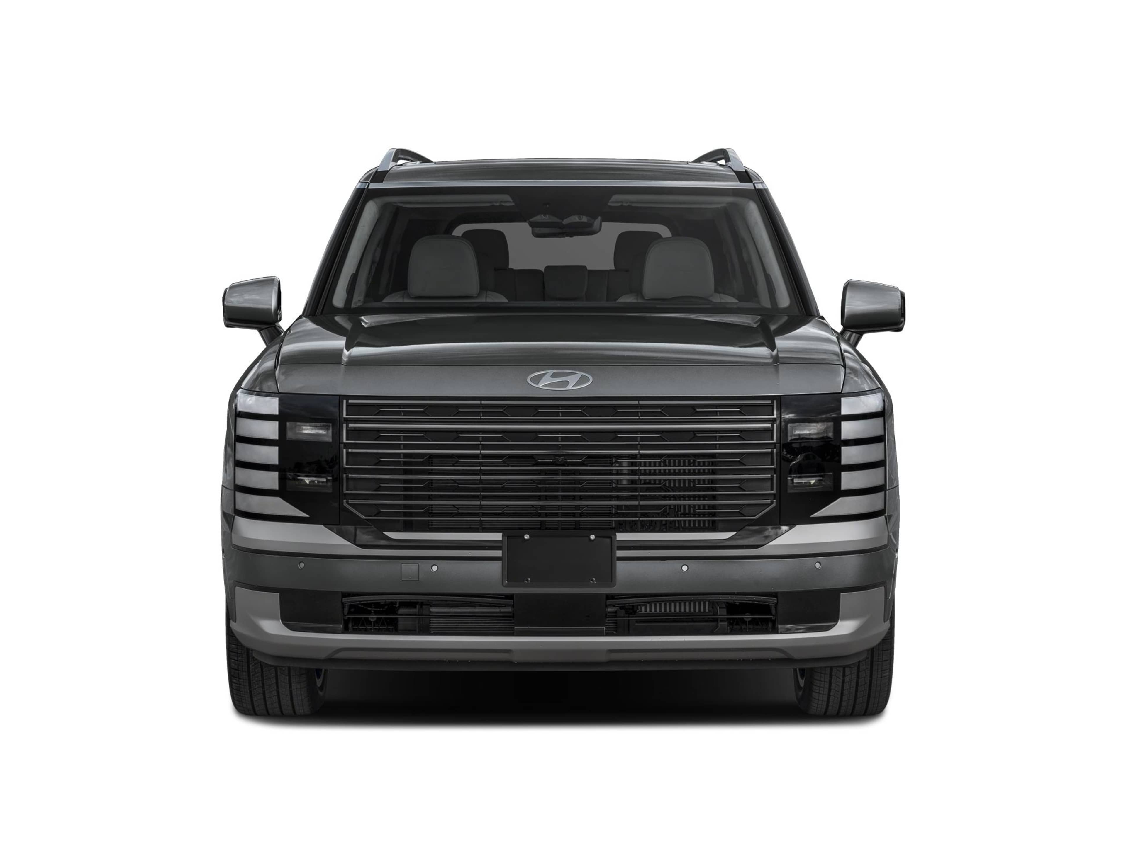 2026 Hyundai Palisade Calligraphy photo 3