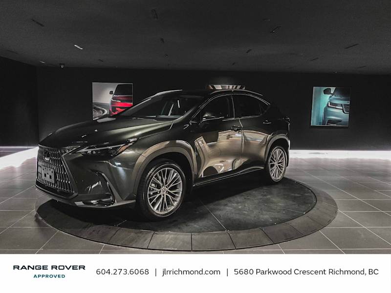 2025 Lexus NX