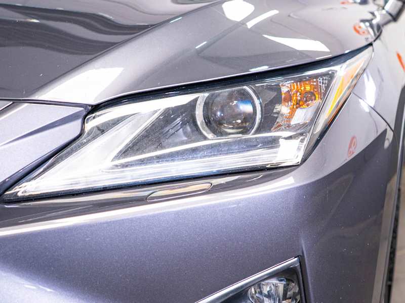 2019 Lexus RX