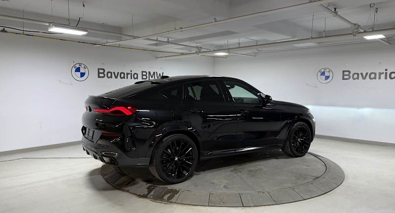 2025 BMW X6