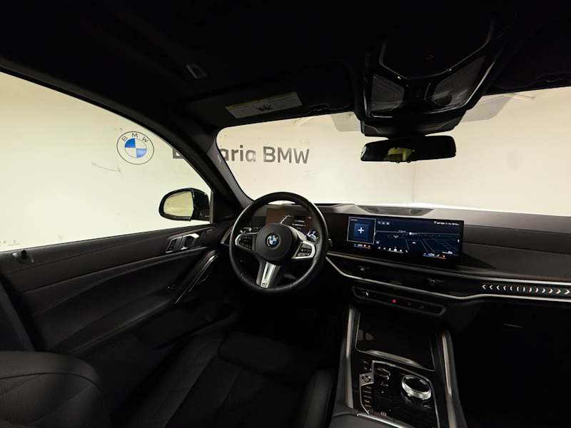 2025 BMW X6