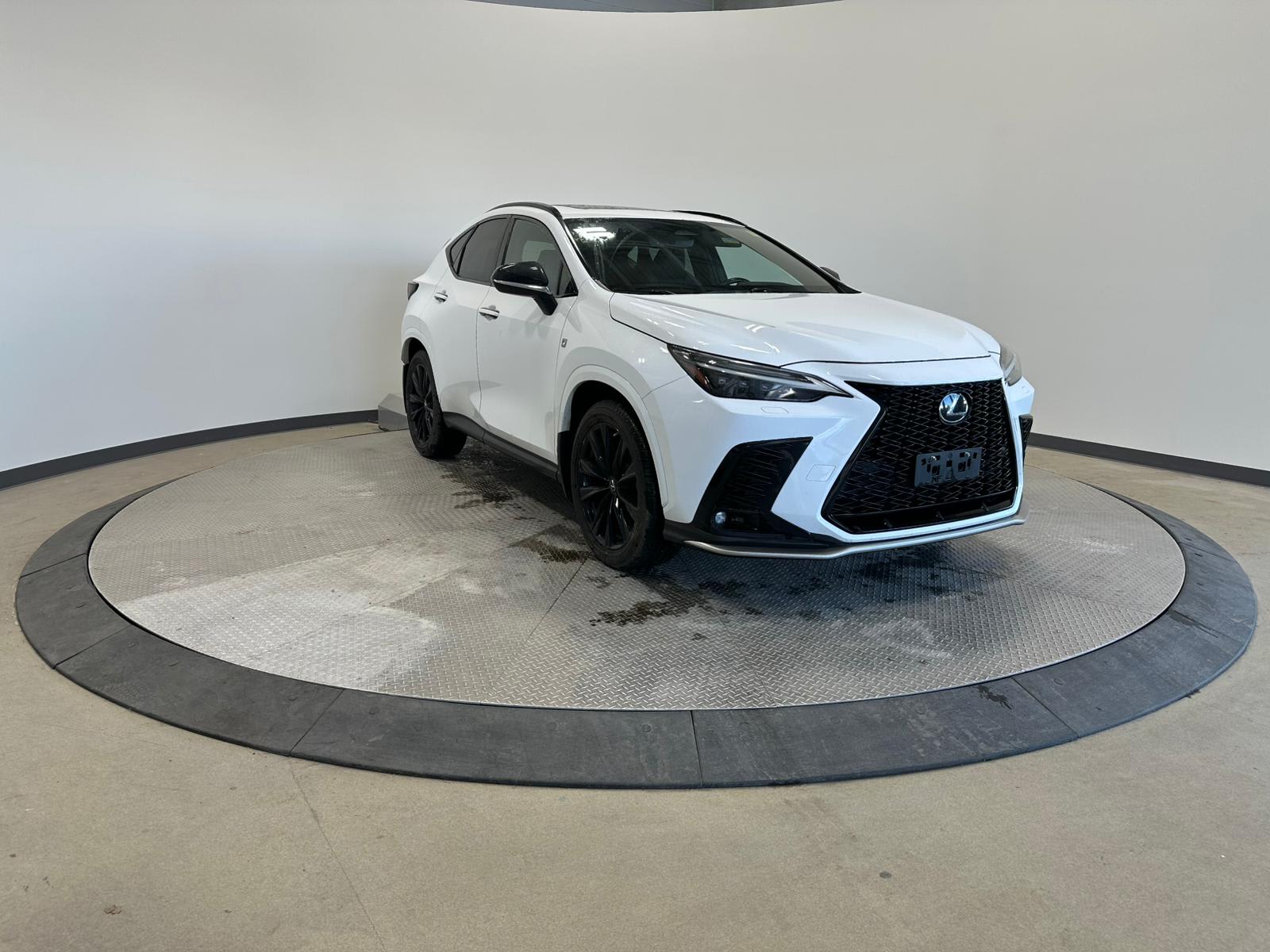 2022 Lexus NX NX 350