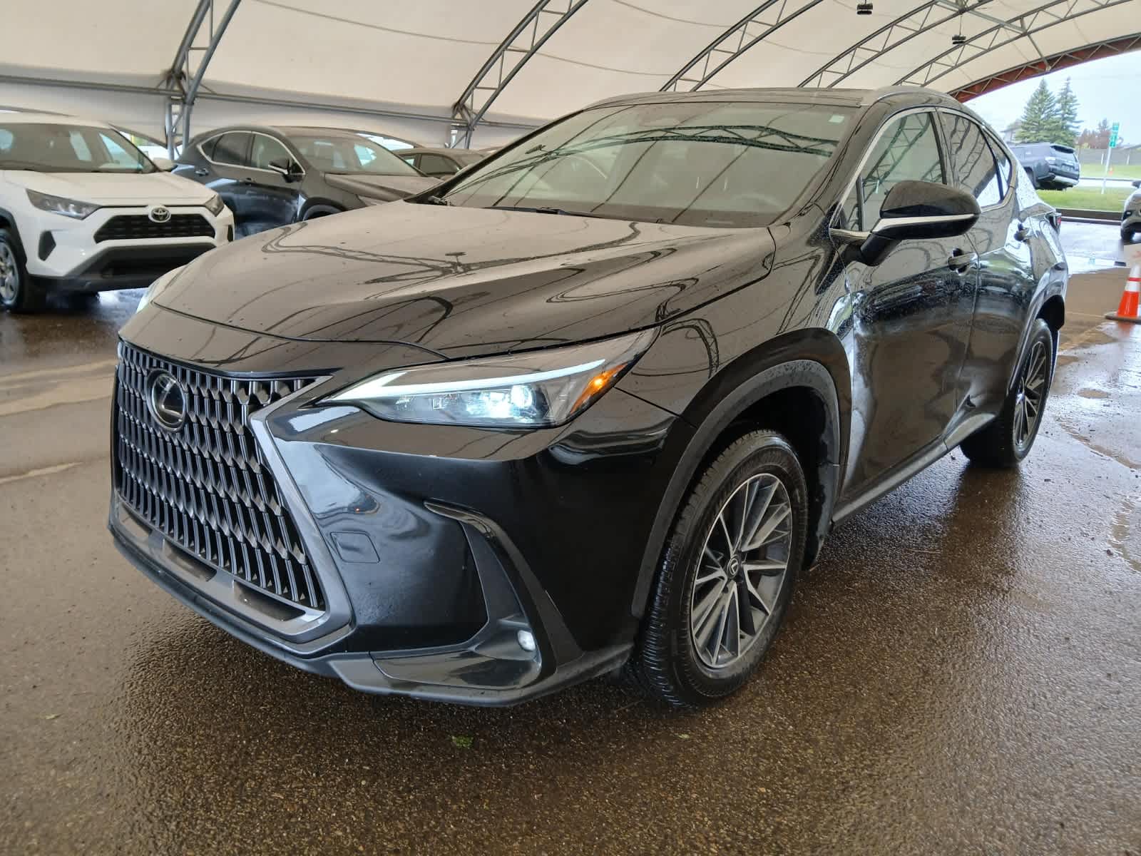 2025 Lexus NX NX 350h