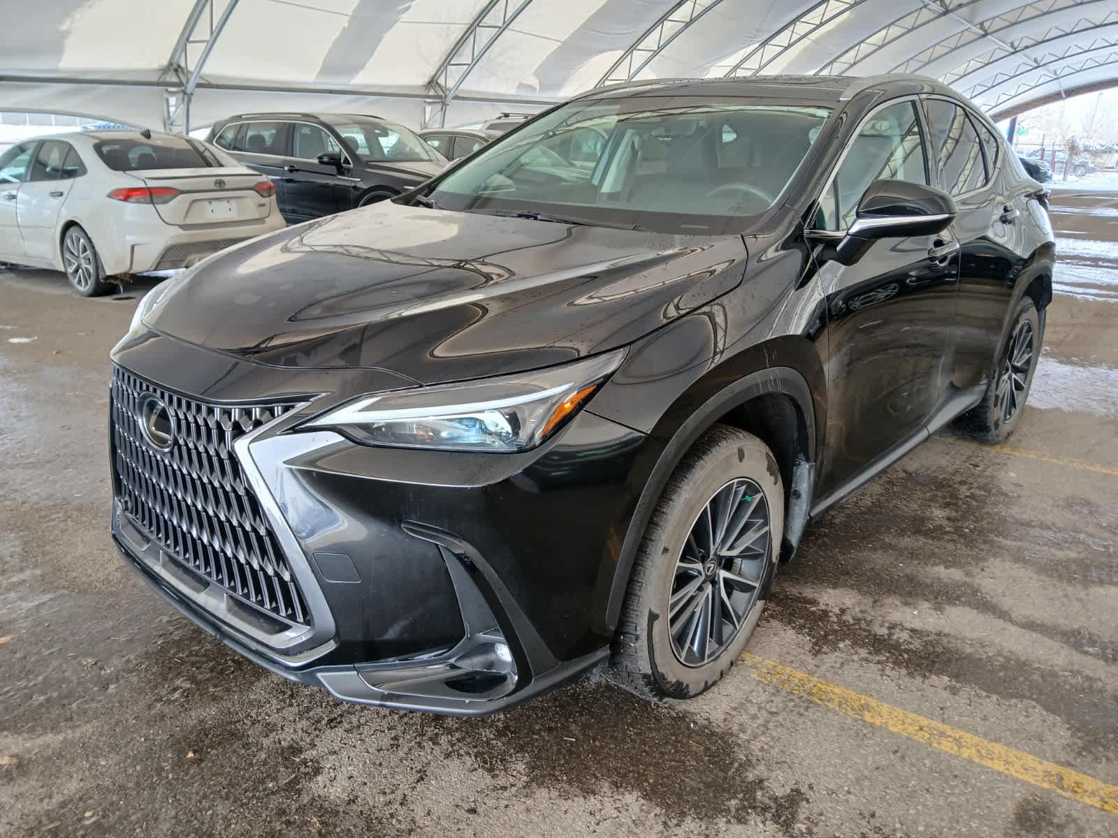 2025 Lexus NX NX 350h