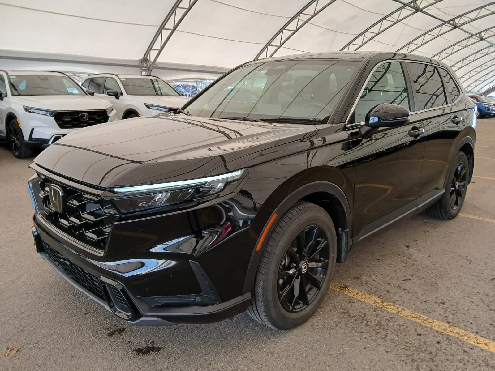 2025 Honda CR-V EX-L