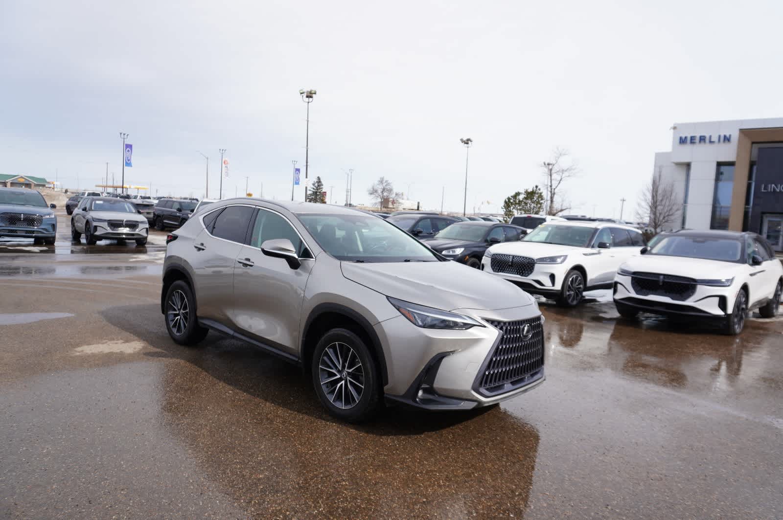 2023 Lexus NX NX 250