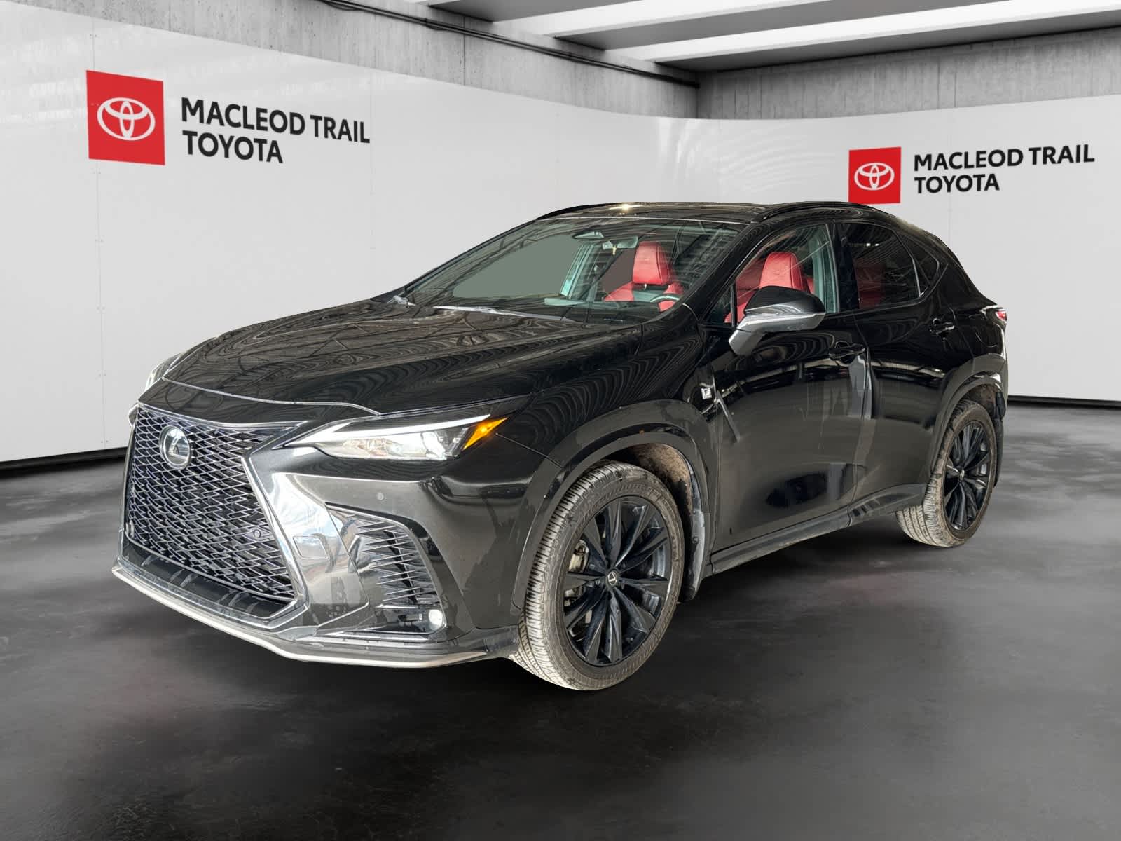 2024 Lexus NX NX 350