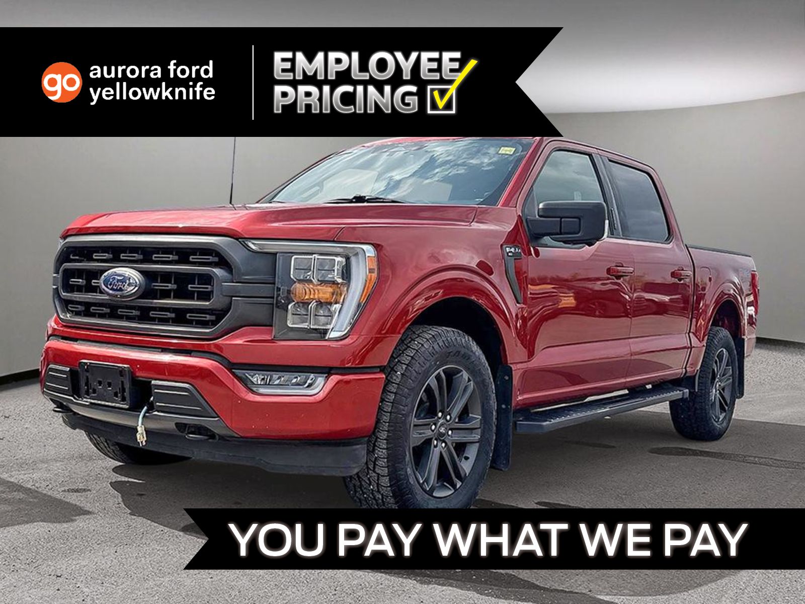  2023 Ford F-150 Pickup Truck Four-Wheel Drive Automatic