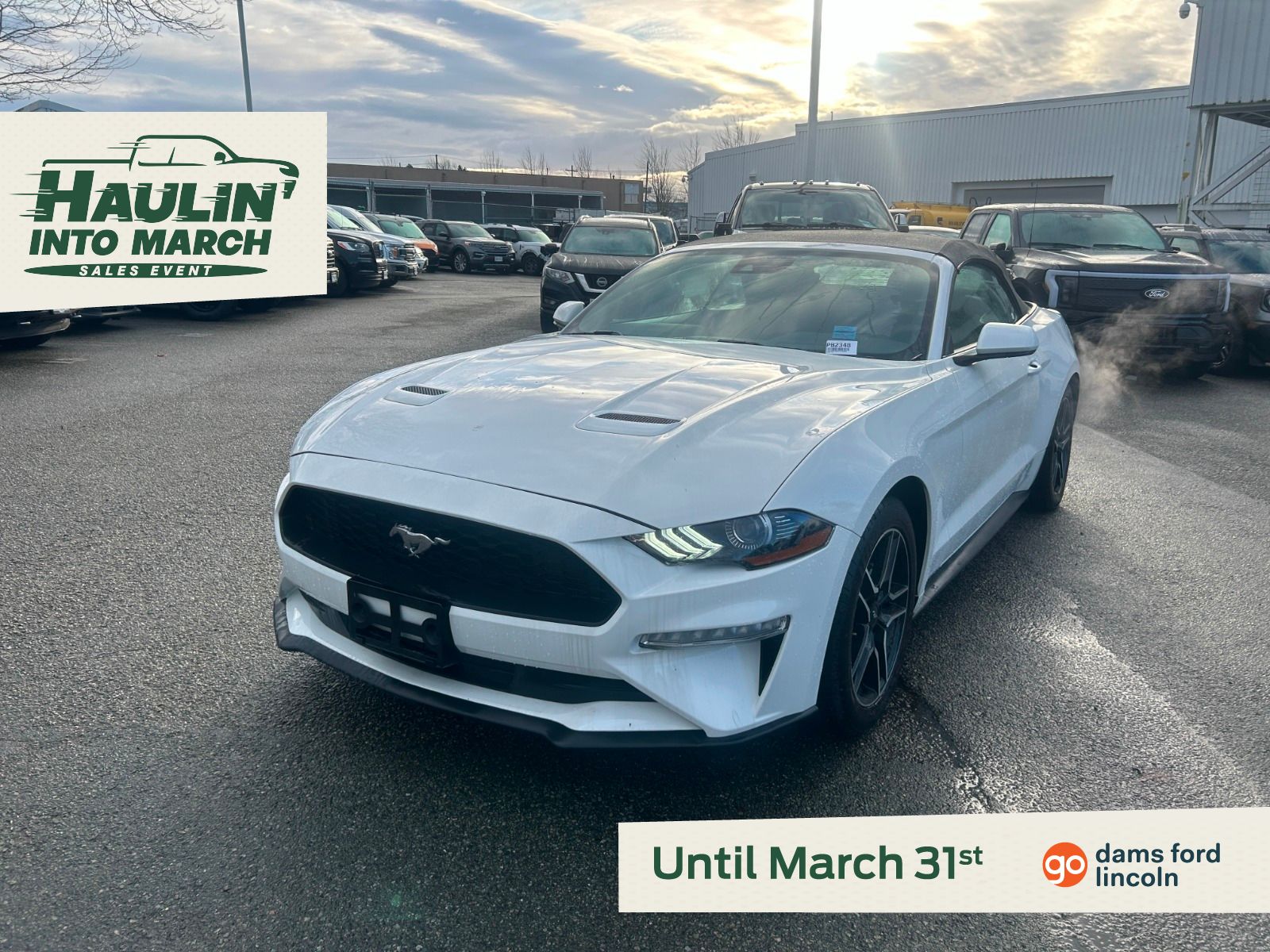 Ford Mustang EcoBoost Convertible RWD