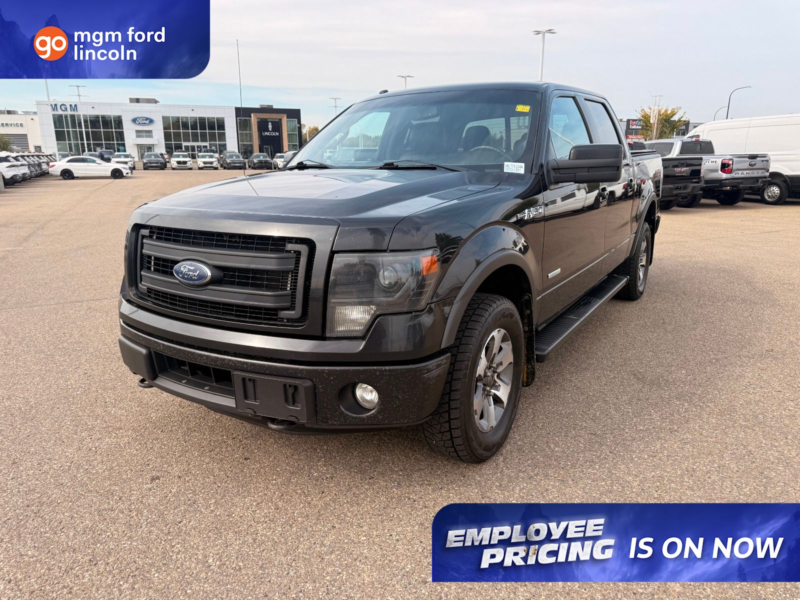  2014 Ford F-150 Pickup Truck Four-Wheel Drive 6-Speed Automatic
