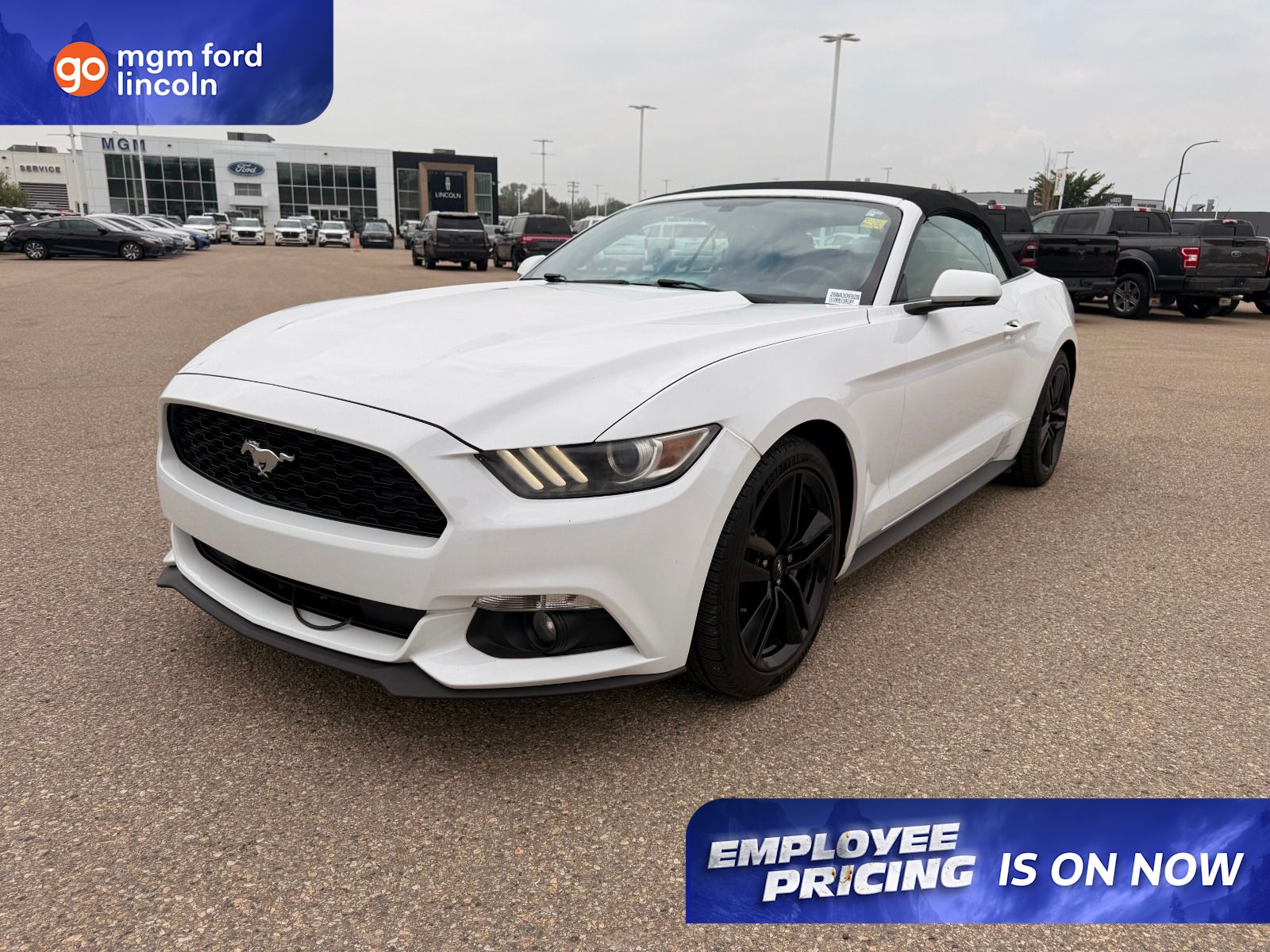  2015 Ford Mustang EcoBoost Premium Convertible RWD   