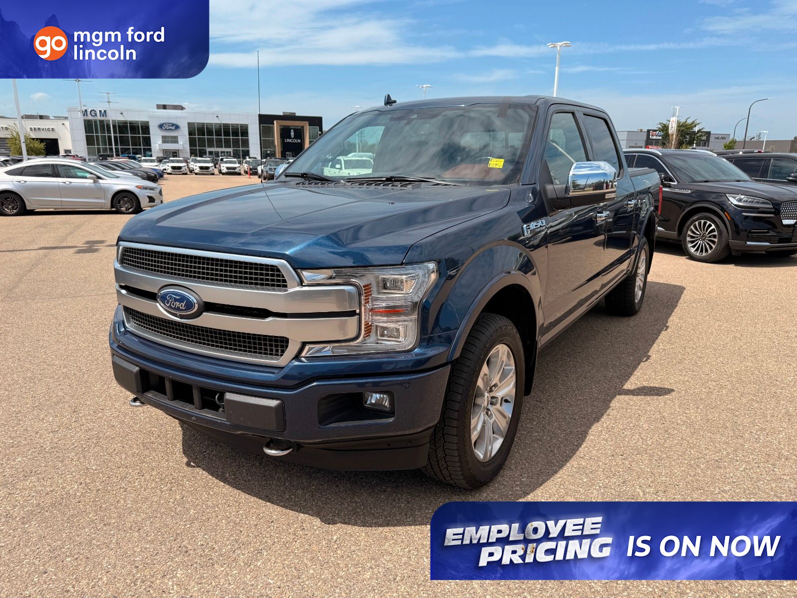 2019 Ford F-150 Pickup Truck Four-Wheel Drive Automatic