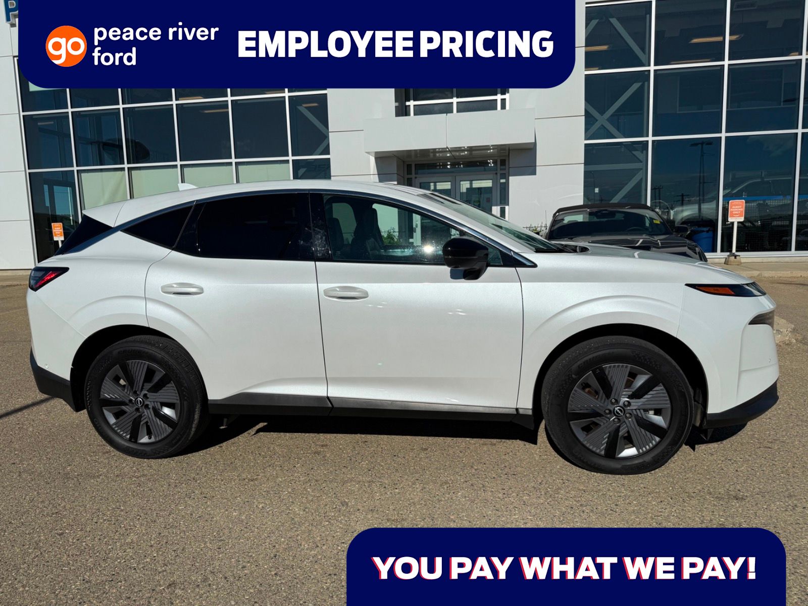  2025 Nissan Murano SUV / Crossover All-Wheel Drive 9-Speed Automatic