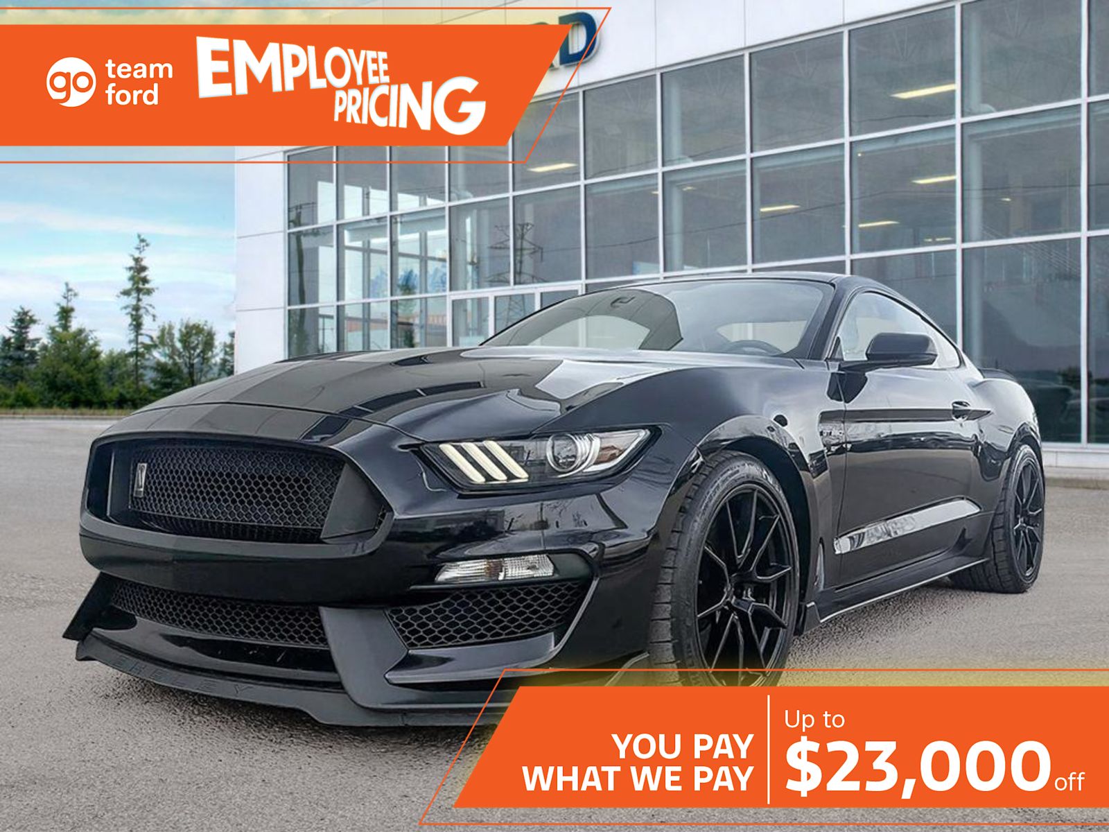 2019 Ford Mustang Shelby GT350 Coupe Rear-Wheel Drive 6-Speed Manual