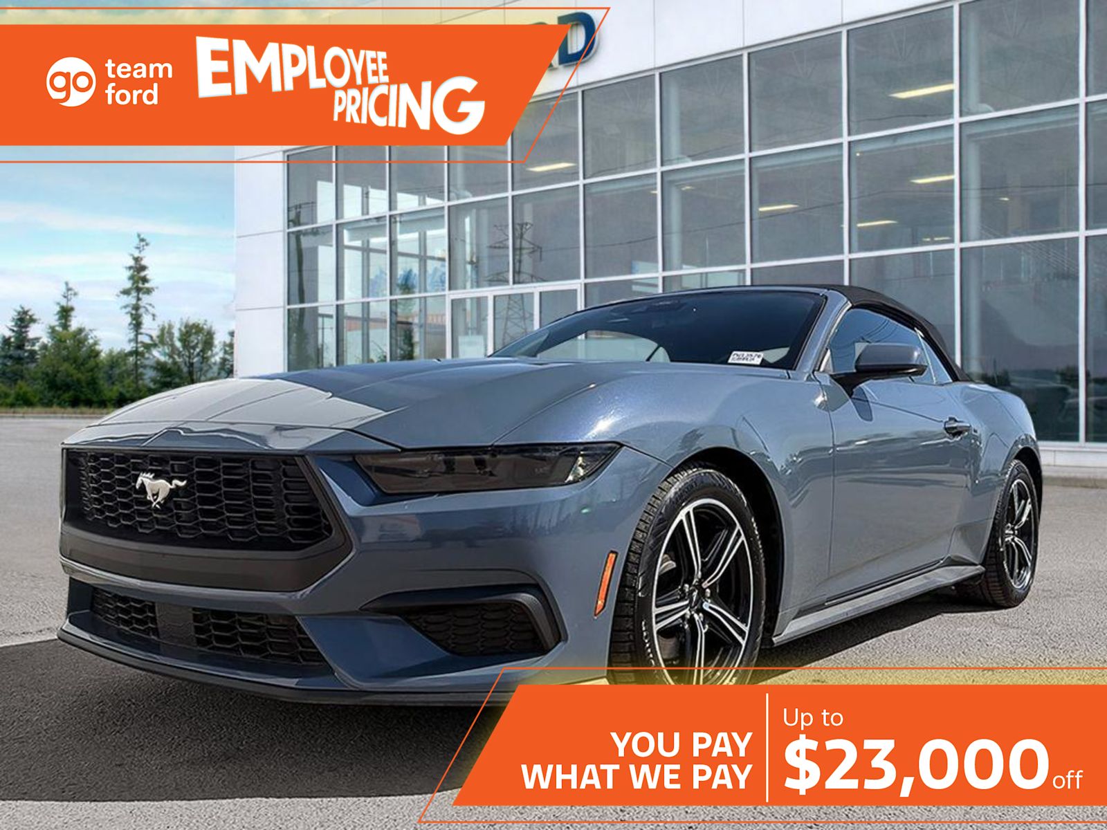  2025 Ford Mustang EcoBoost Premium Convertible RWD   