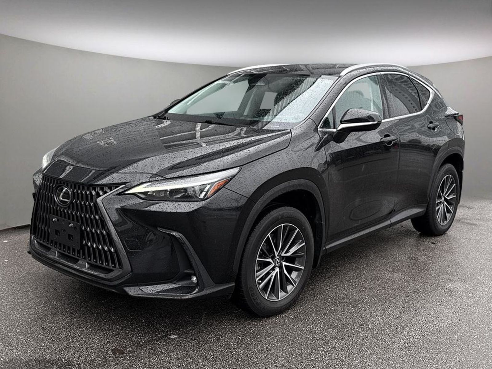2022 Lexus NX 250 AWD