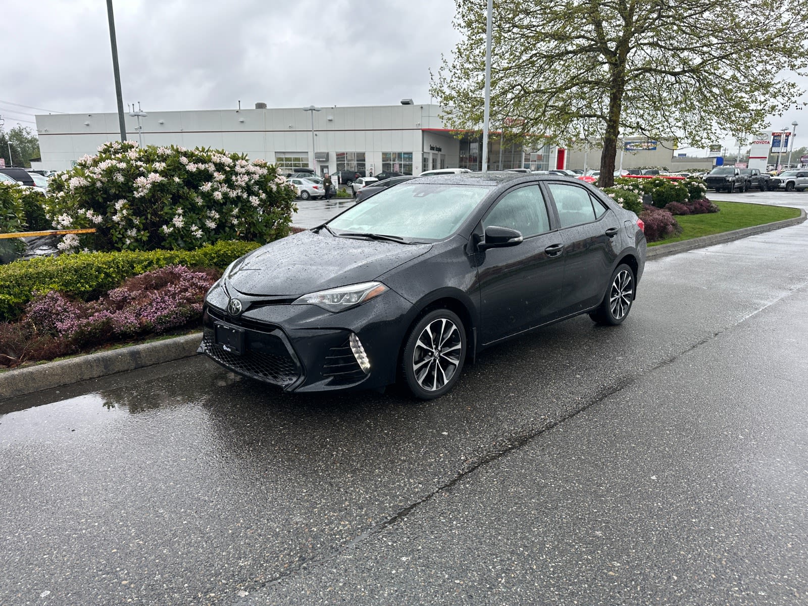 2019 Toyota Corolla XSE