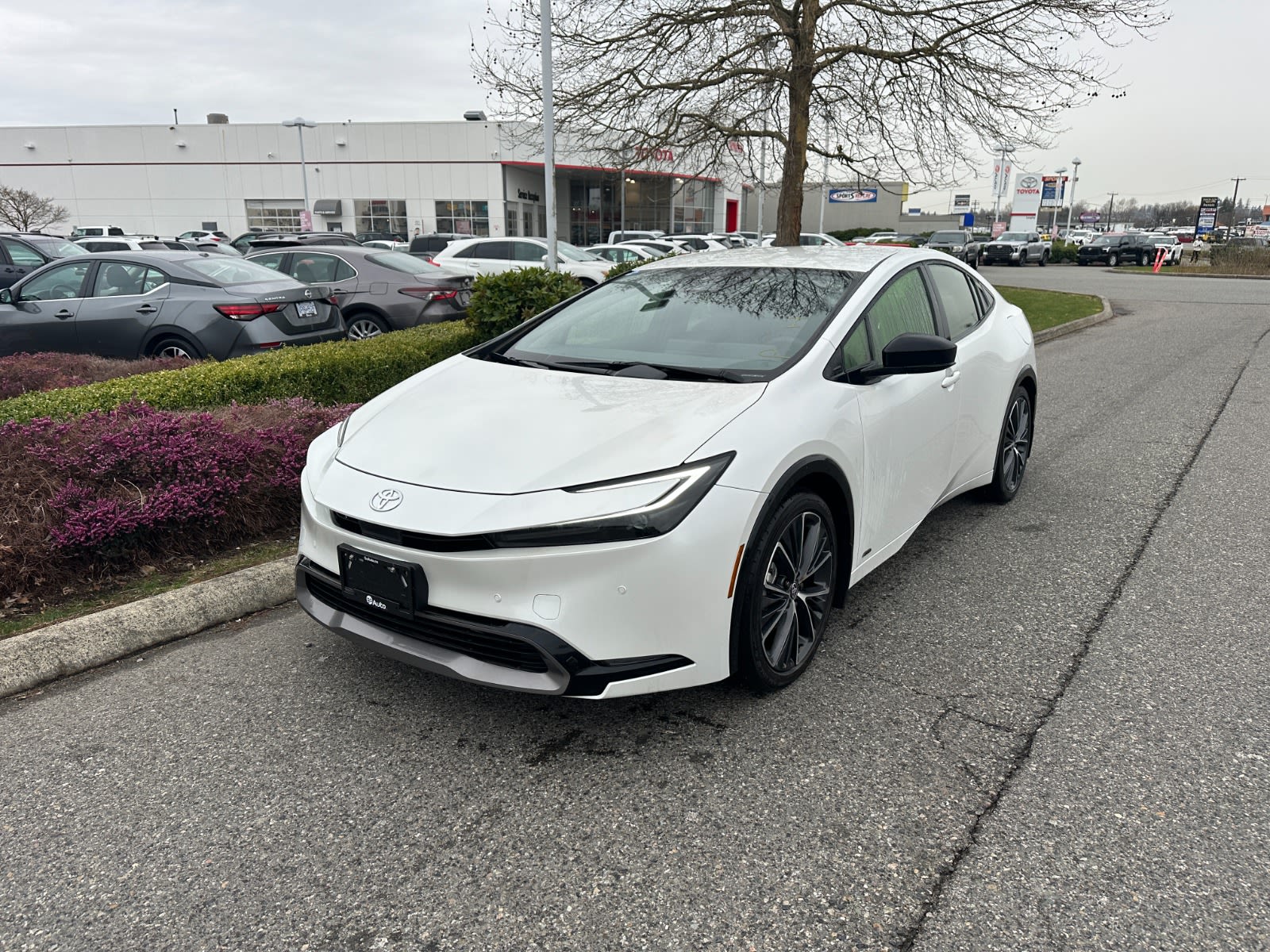 Toyota Prius XLE AWD