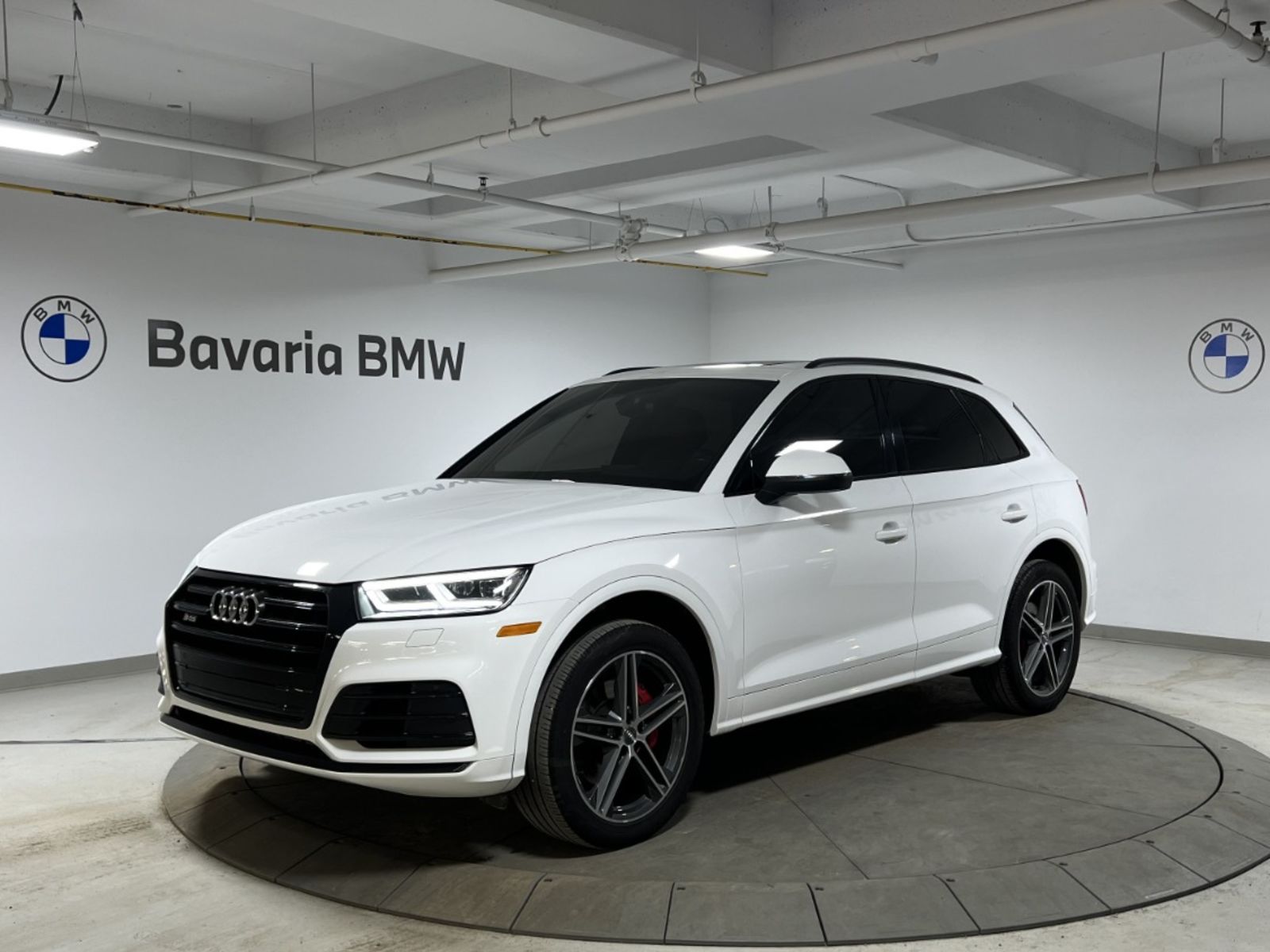 Audi SQ5 3.0 TFSI quattro Progressiv AWD 2019