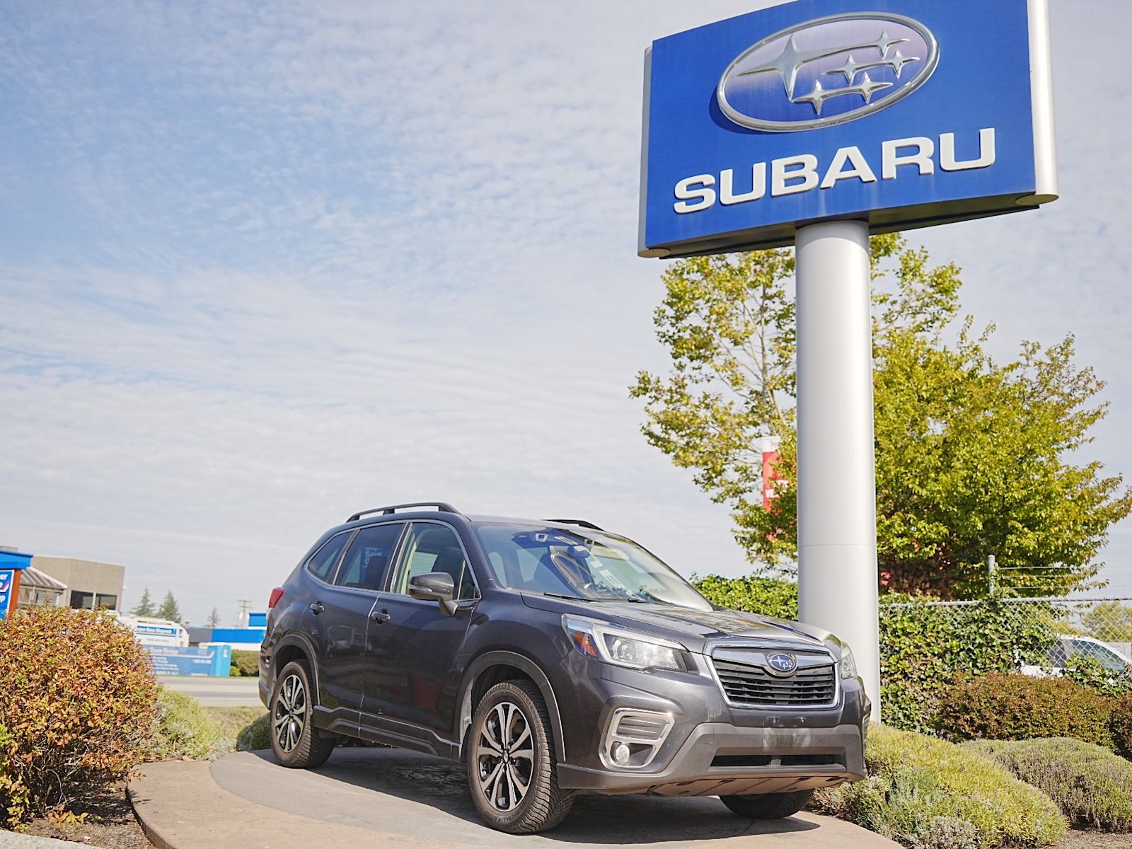  2019 Subaru Forester SUV / Crossover All-Wheel Drive 7-Speed CVT