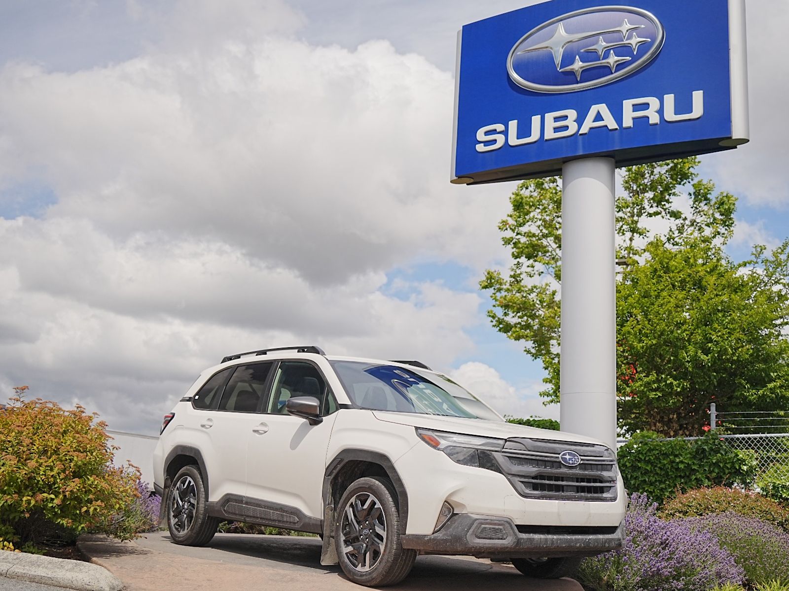  2026 Subaru Forester SUV / Crossover All-Wheel Drive 8-Speed CVT