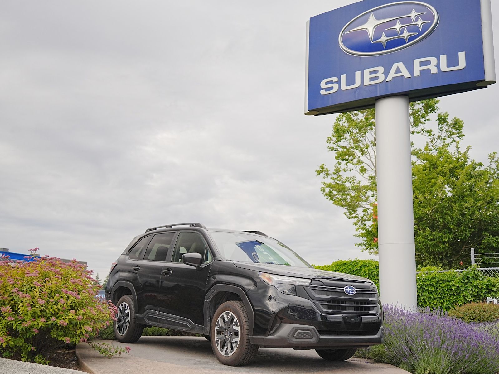 2025 Subaru Forester Convenience Crossover AWD SUV / Crossover Continuously Variable Transmission