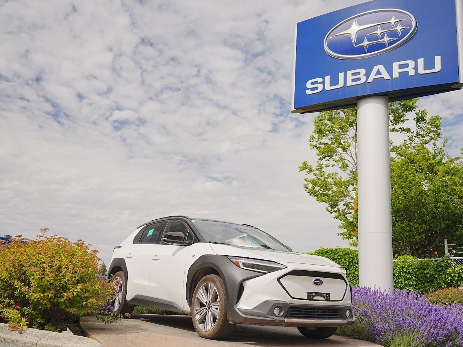  2023 Subaru Solterra SUV / Crossover  1-Speed Automatic