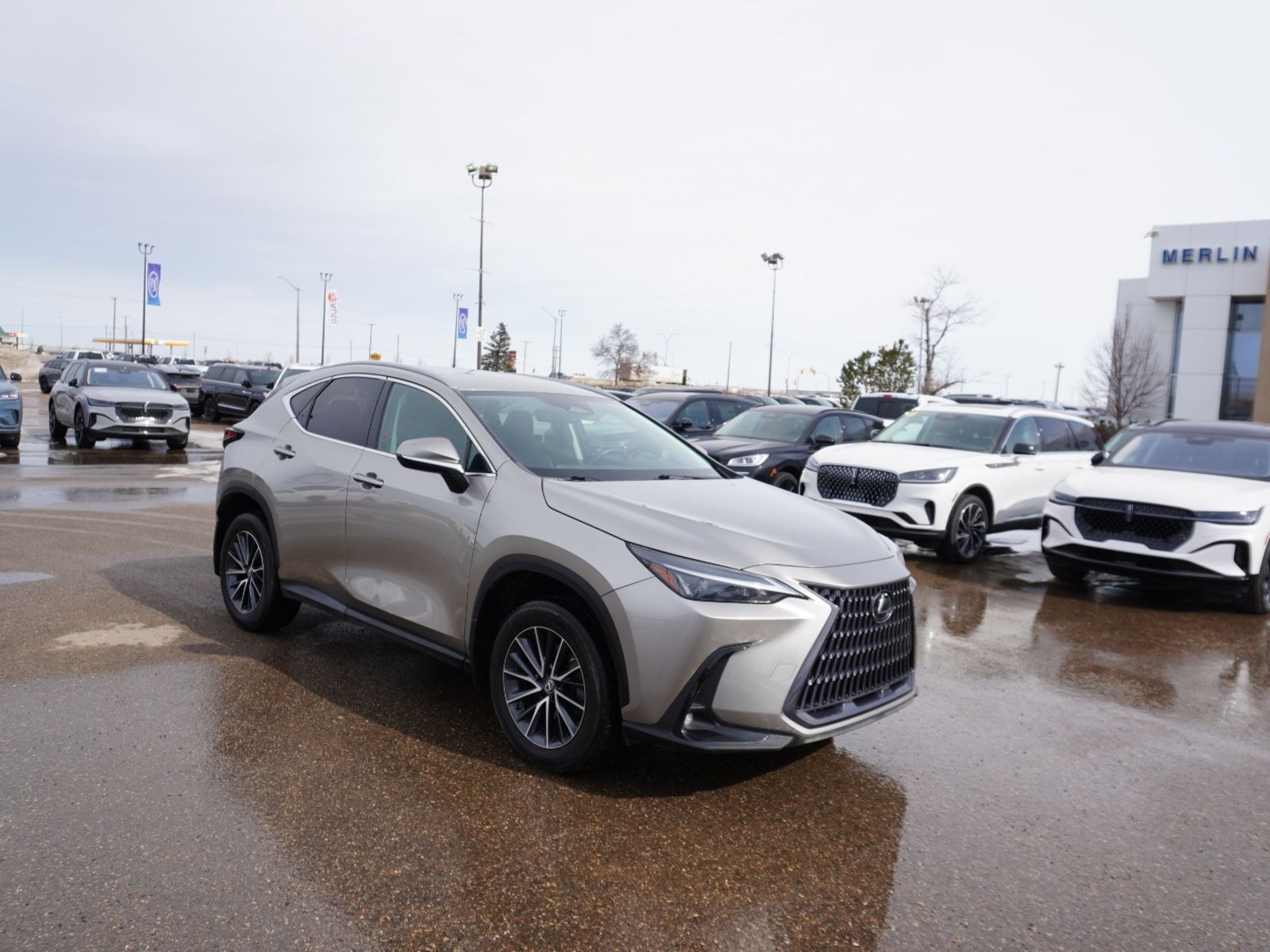 2023 Lexus NX 250 AWD