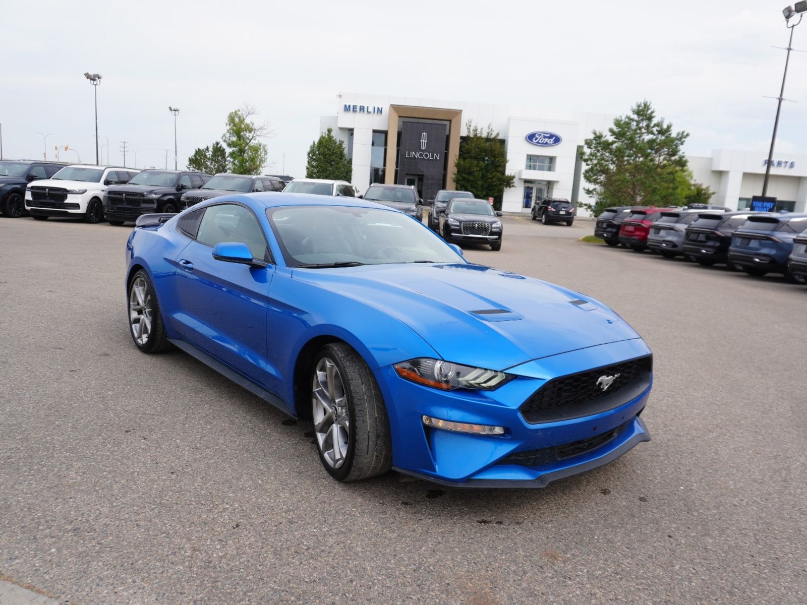  2019 Ford Mustang EcoBoost Premium Coupe RWD   