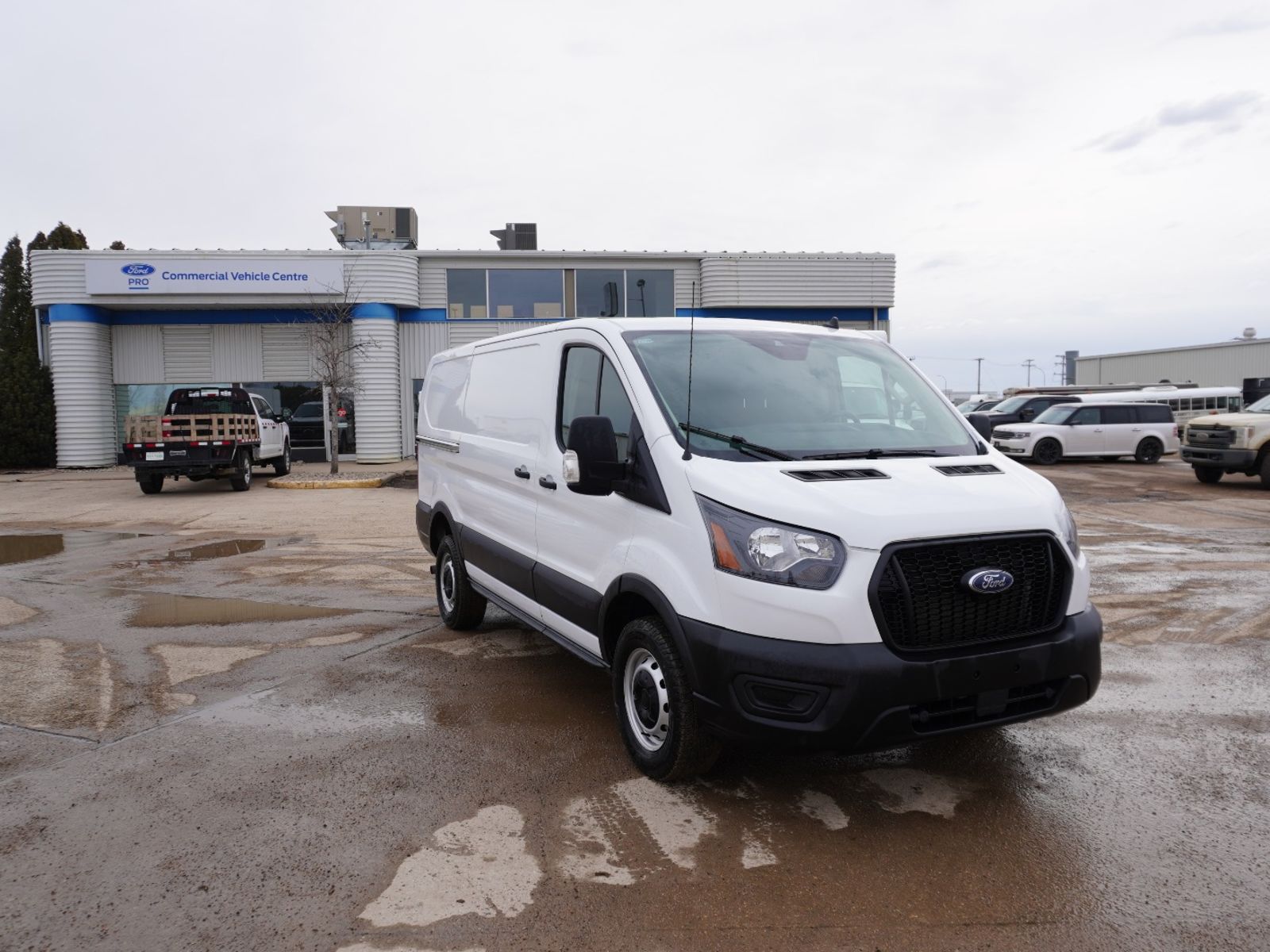 2023 Ford Transit Cargo 250 Low Roof RWD