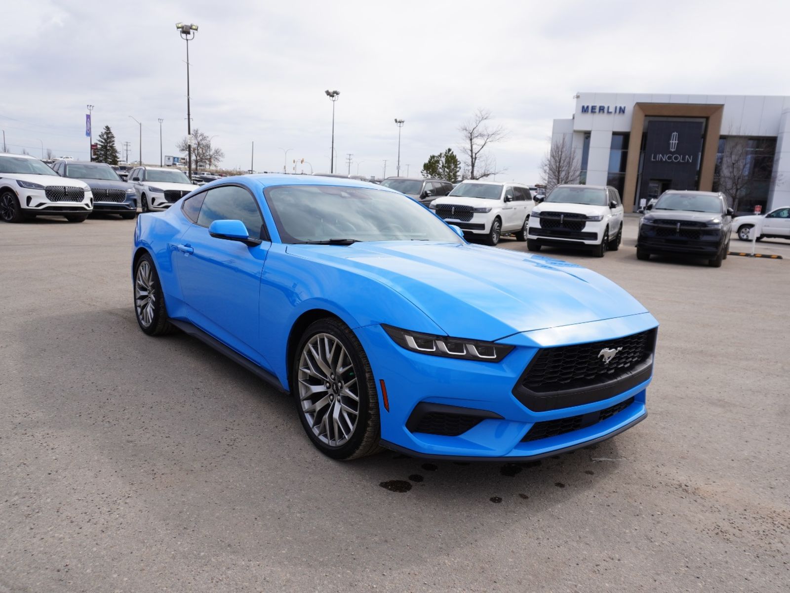  2024 Ford Mustang EcoBoost Premium Fastback RWD   