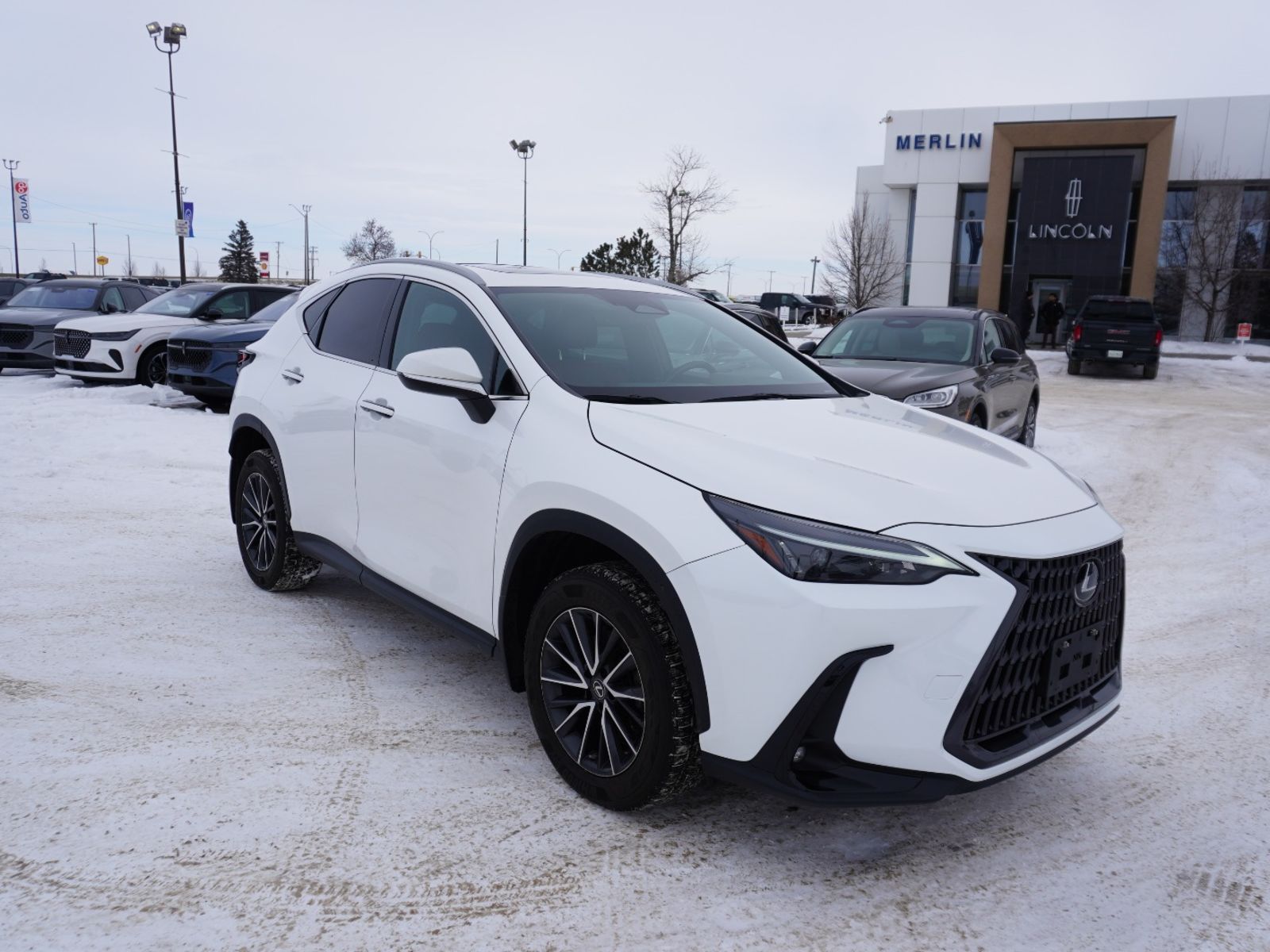 2023 Lexus NX Hybrid 350h Premium AWD