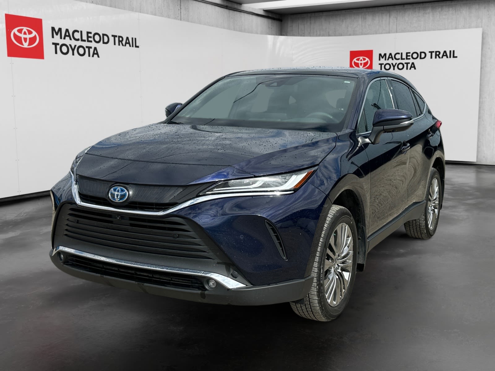 2023 Toyota Venza Limited AWD