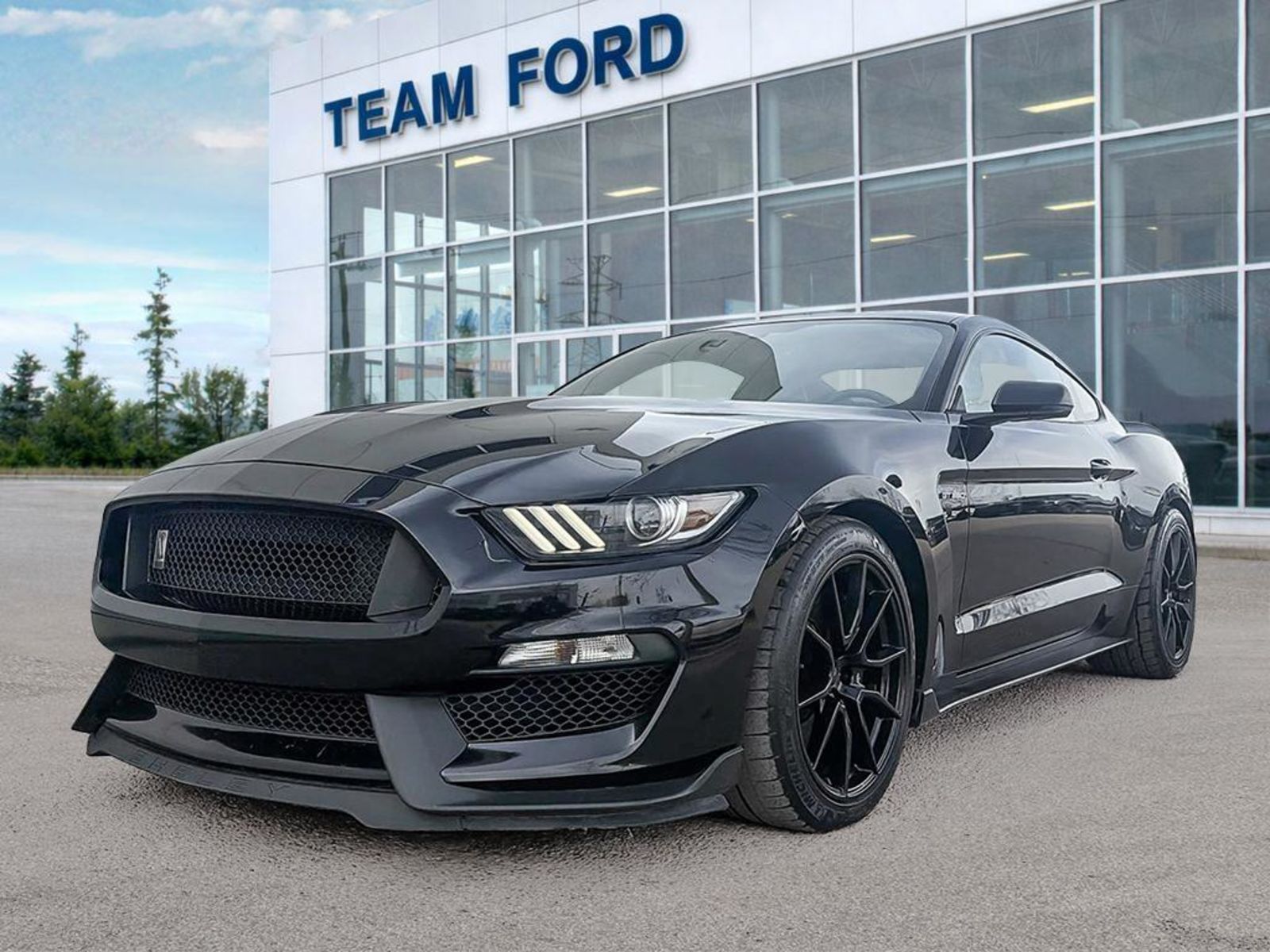  2019 Ford Mustang Shelby GT350 Coupe Rear-Wheel Drive 6-Speed Manual