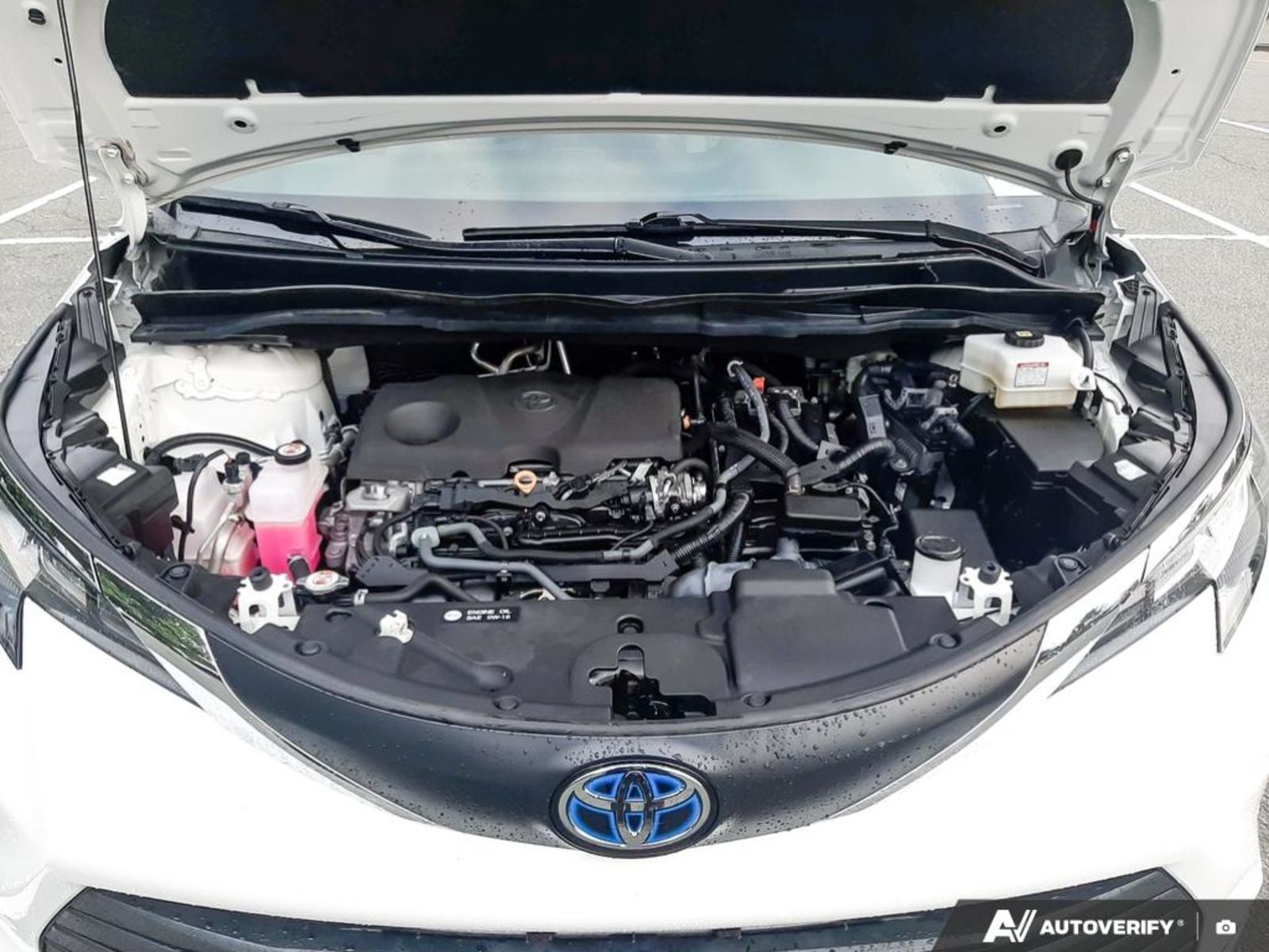 2023 Toyota Sienna LE 8-Passenger, Vancouver, Cash