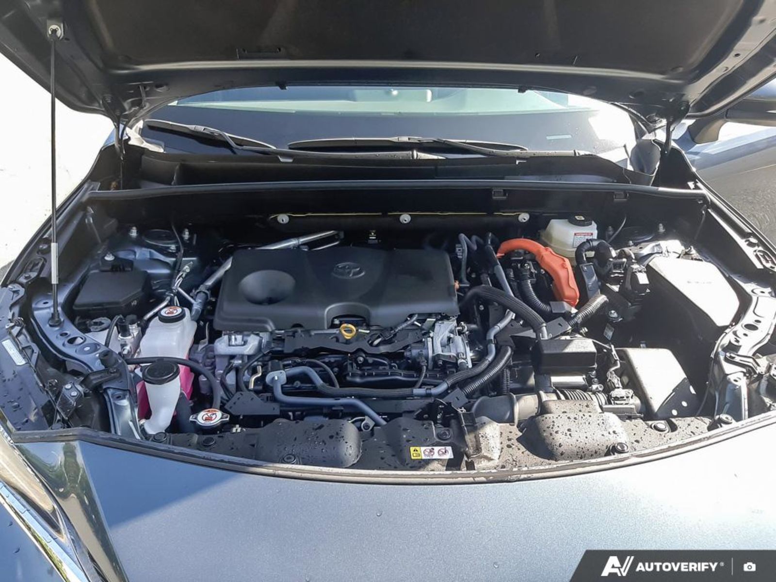 2022 Toyota Venza LE, Vancouver, Cash